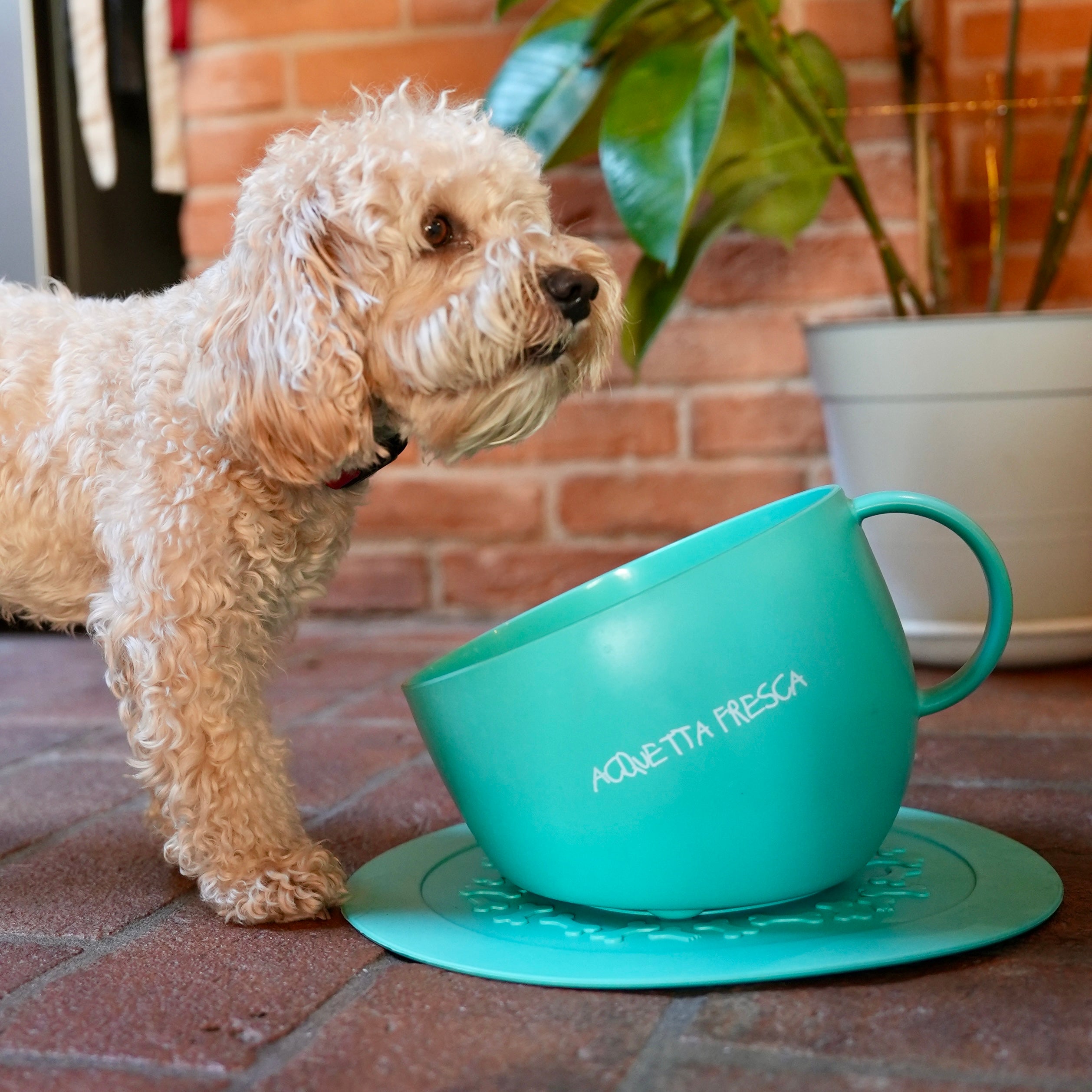 Ciotola Design con Tappetino - Acquetta Fresca