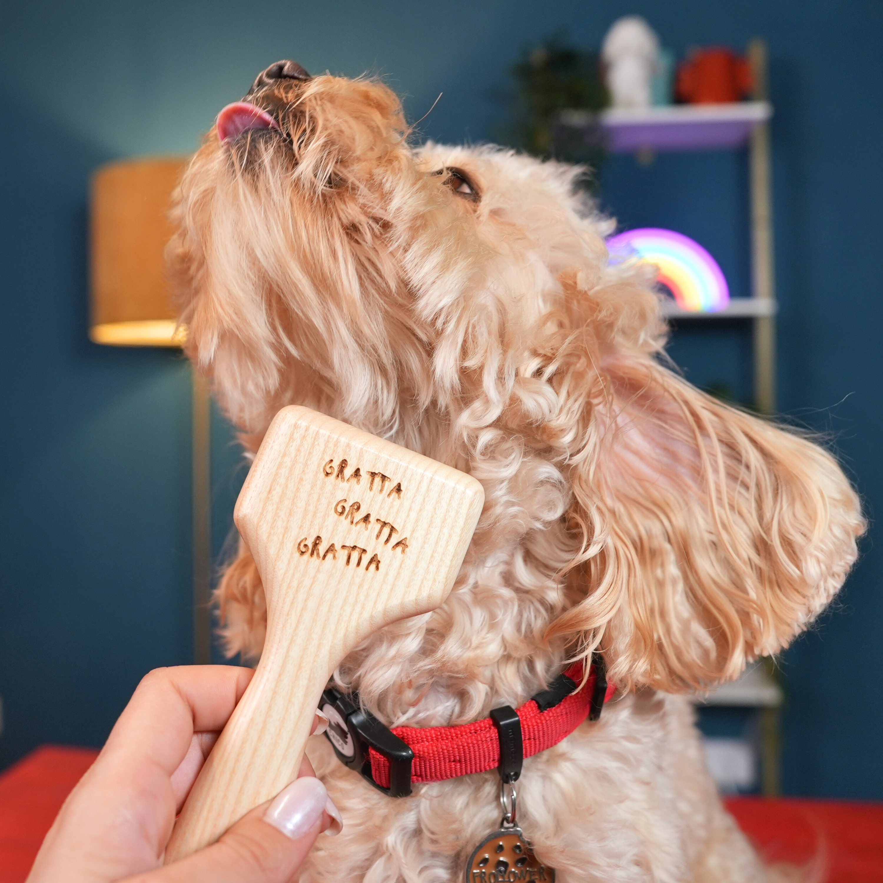 Kit Mattomissile: Cuccia "Relashhh" + Ciotola "La Bistecchina" + Lazy Dog Mat "Qui Preeeciso" + Spazzola "Gratta Gratta Gratta"