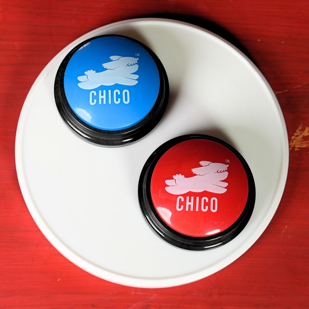 Pulsanti parlanti Chico