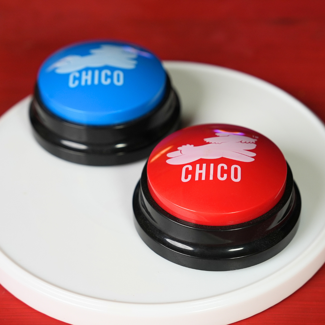 Pulsanti parlanti Chico