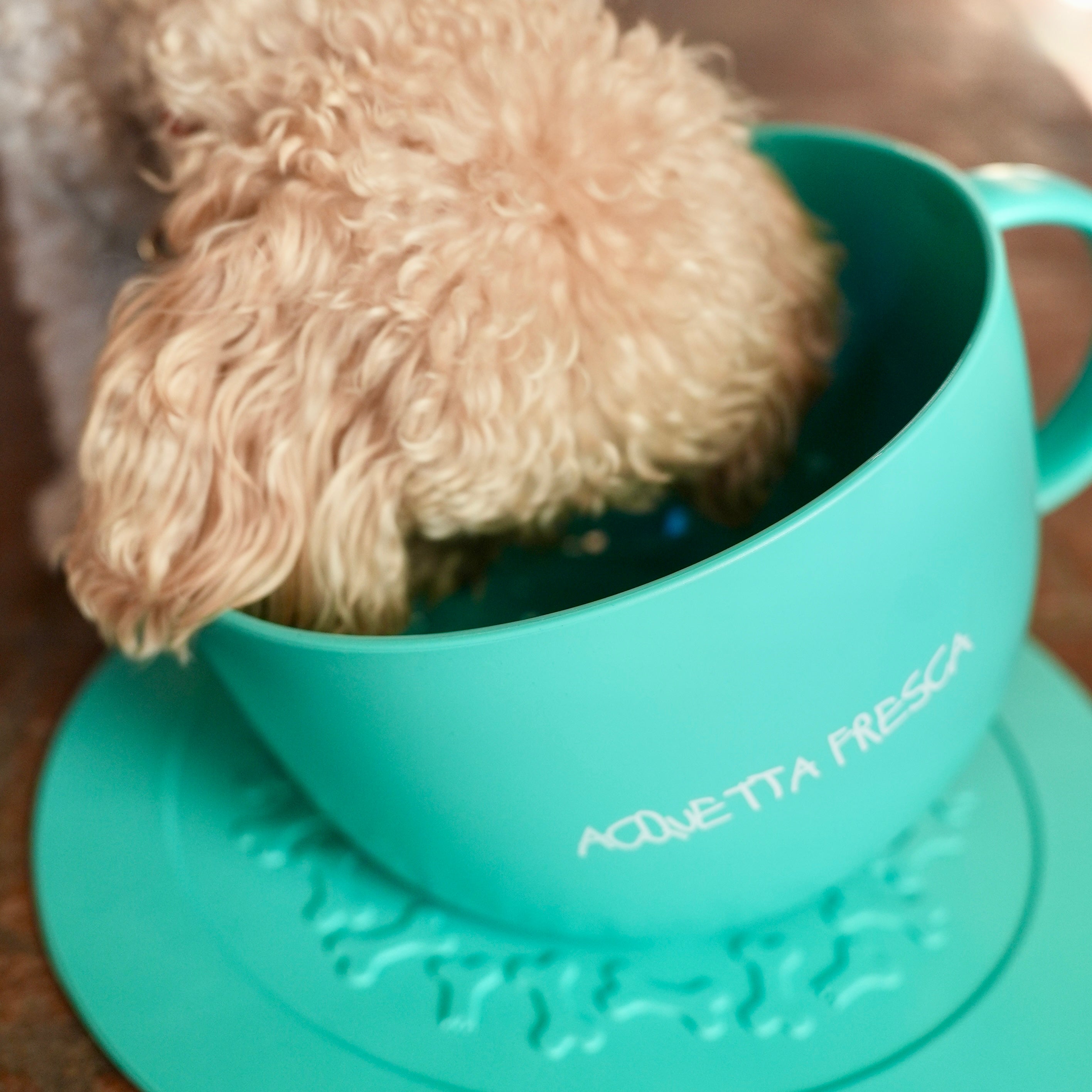 Ciotola Design con Tappetino - Acquetta Fresca