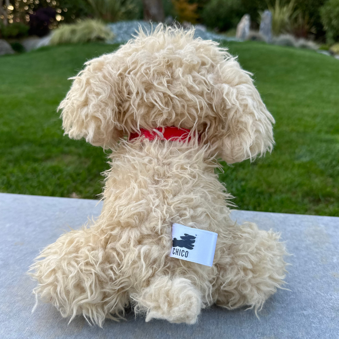 Peluche Chico