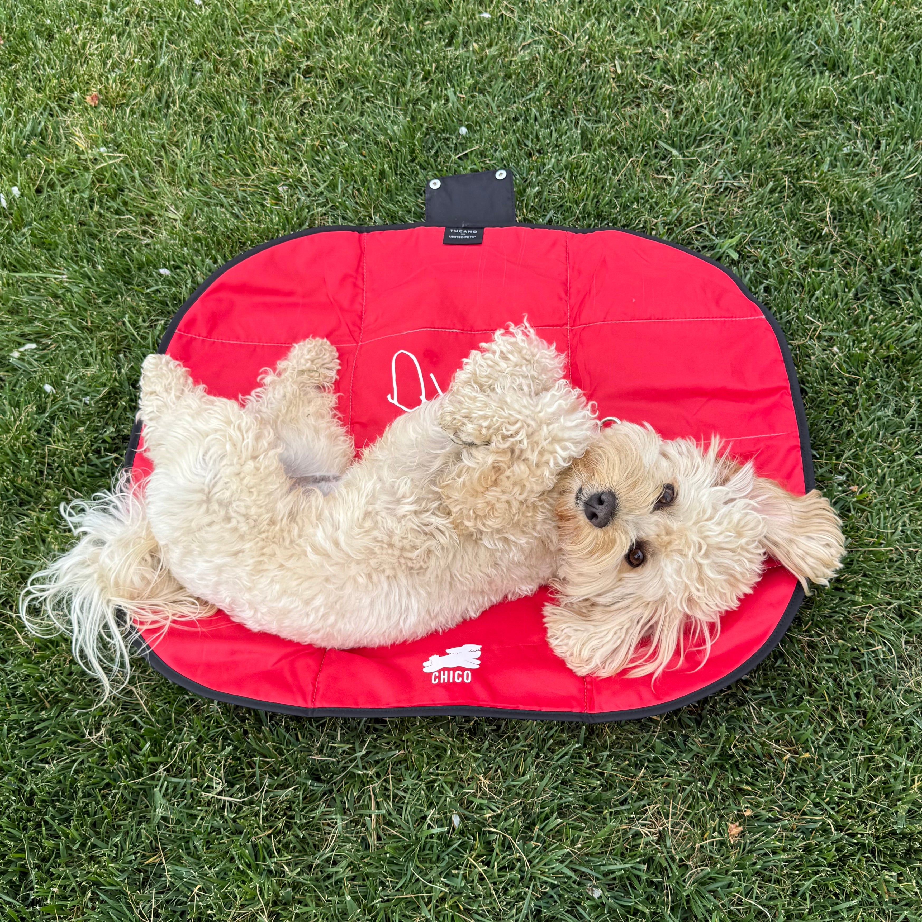 Lazy Dog Mat - Tappetino pieghevole