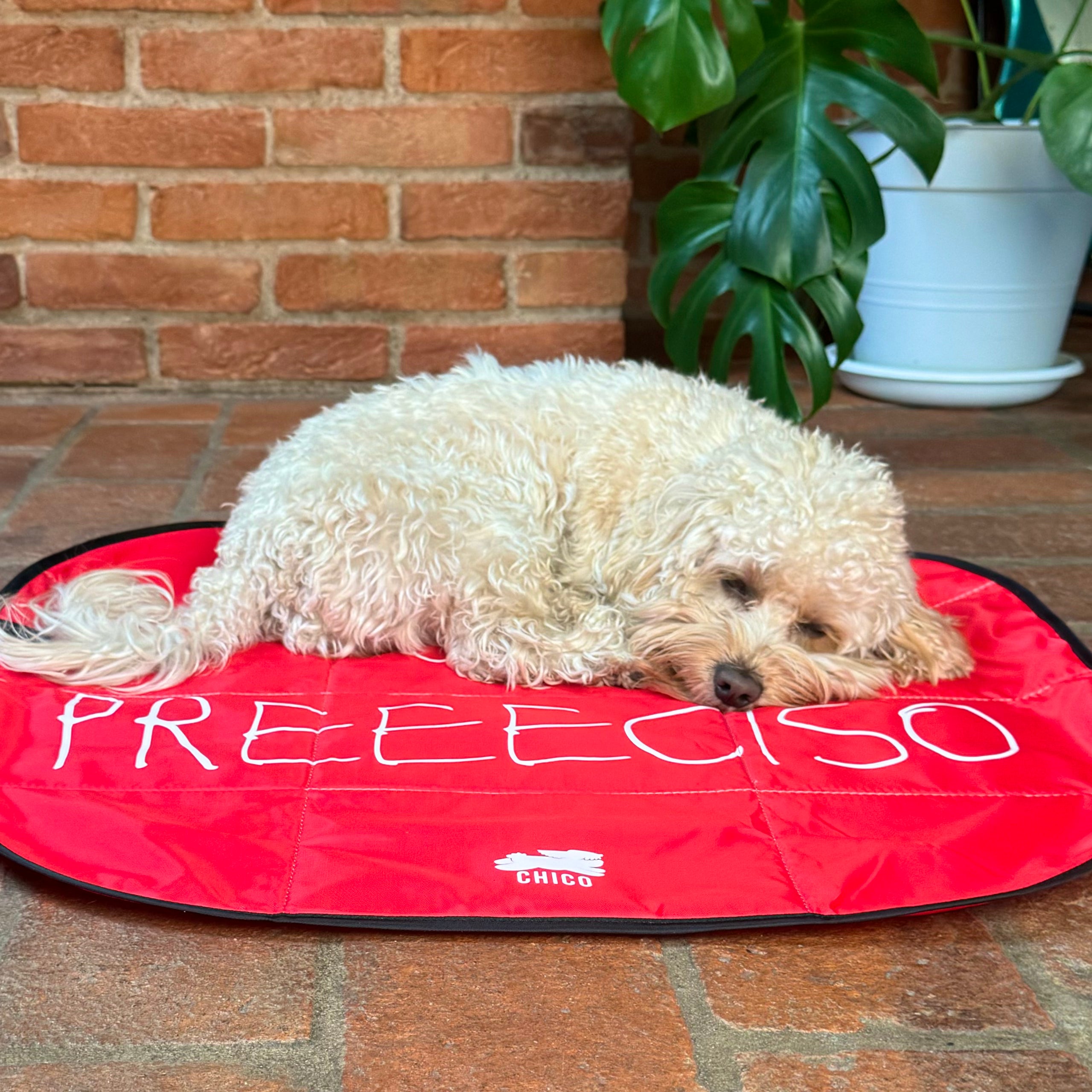 Lazy Dog Mat - Tappetino pieghevole