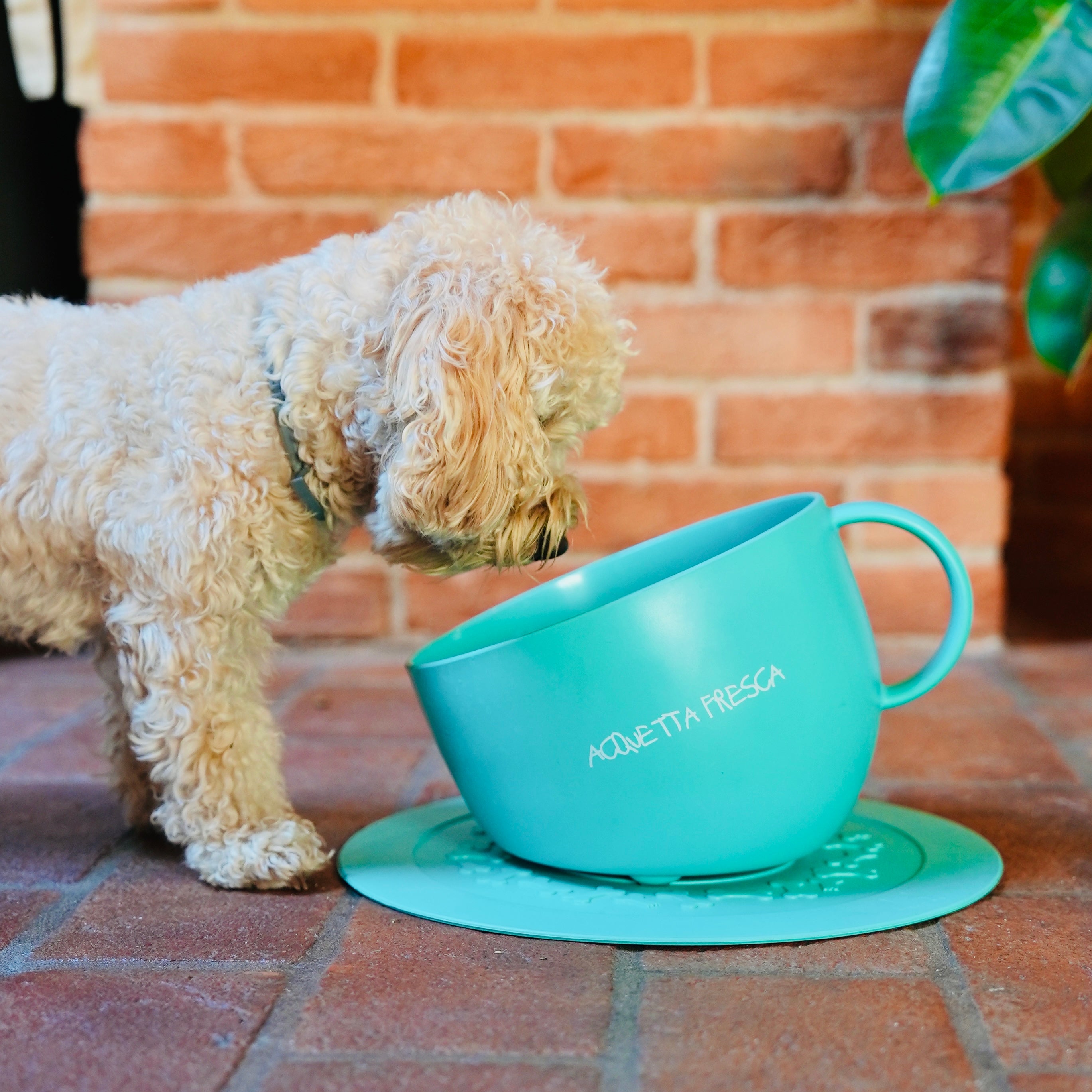 Ciotola Design con Tappetino - Acquetta Fresca