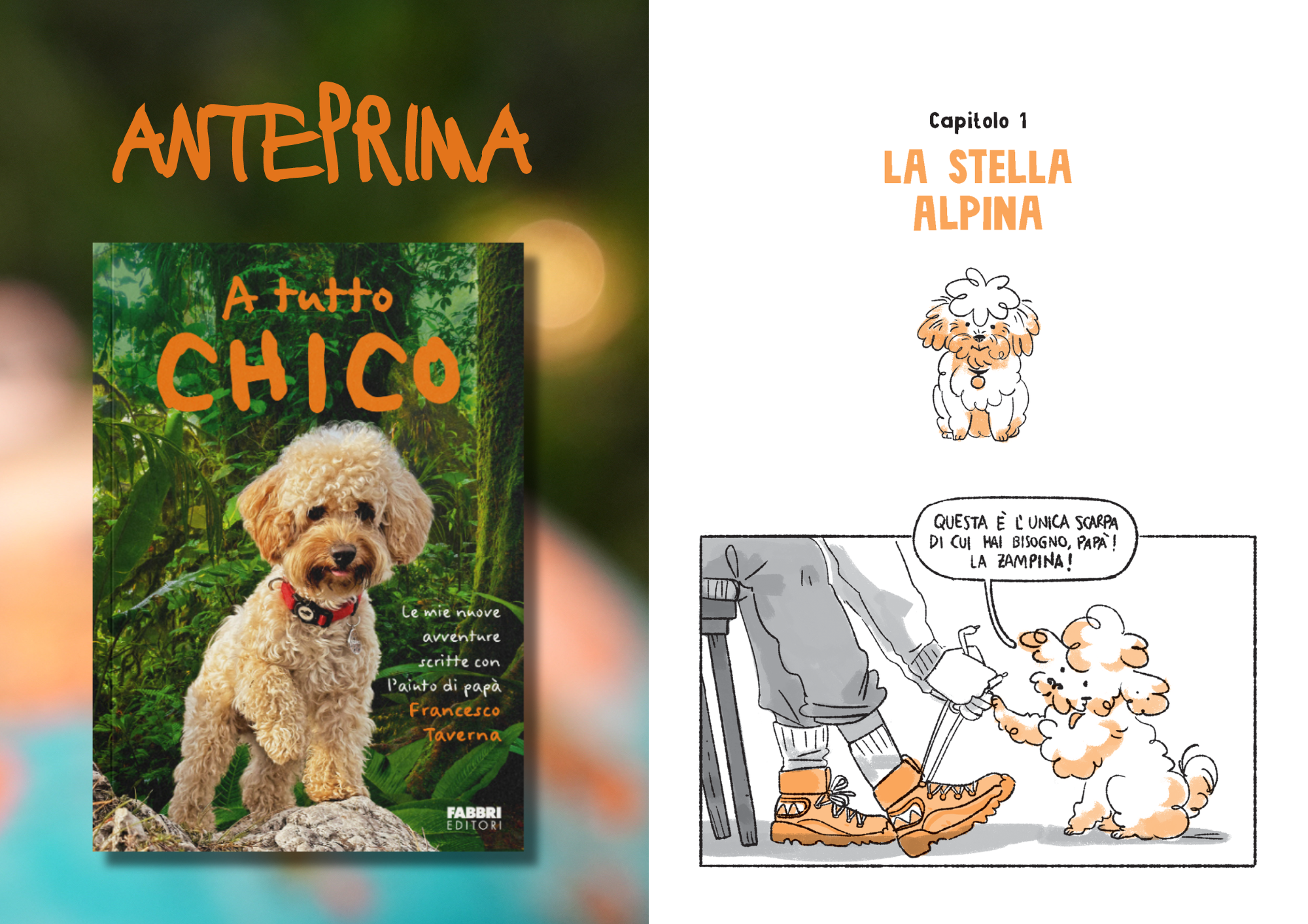 Libro - A tutto Chico