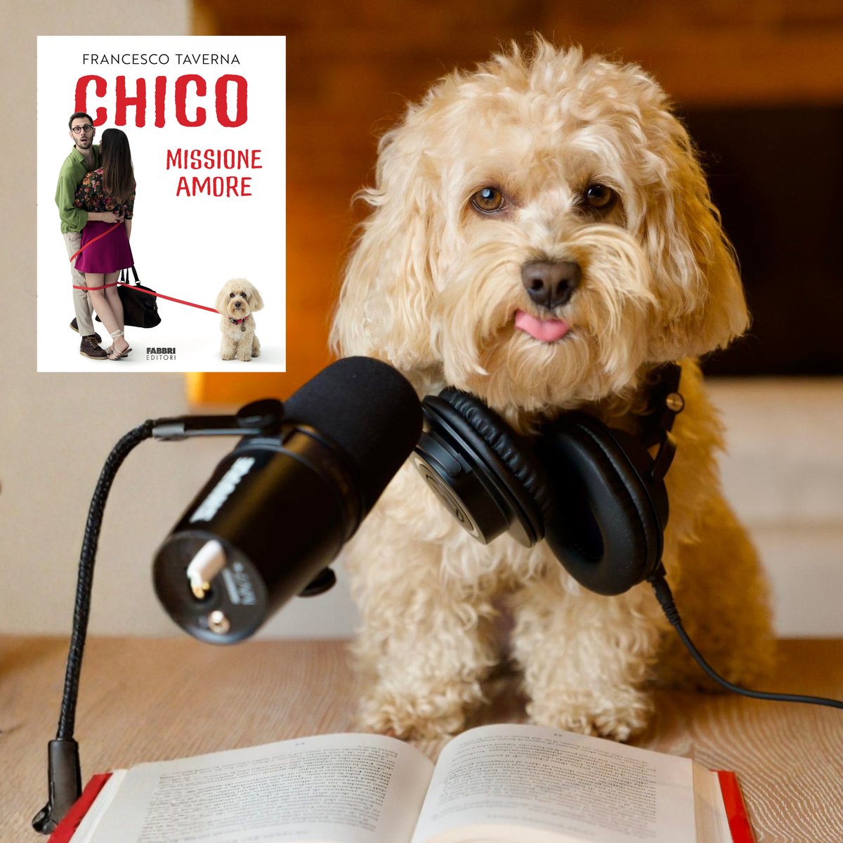 Audiolibro - Chico Missione Amore