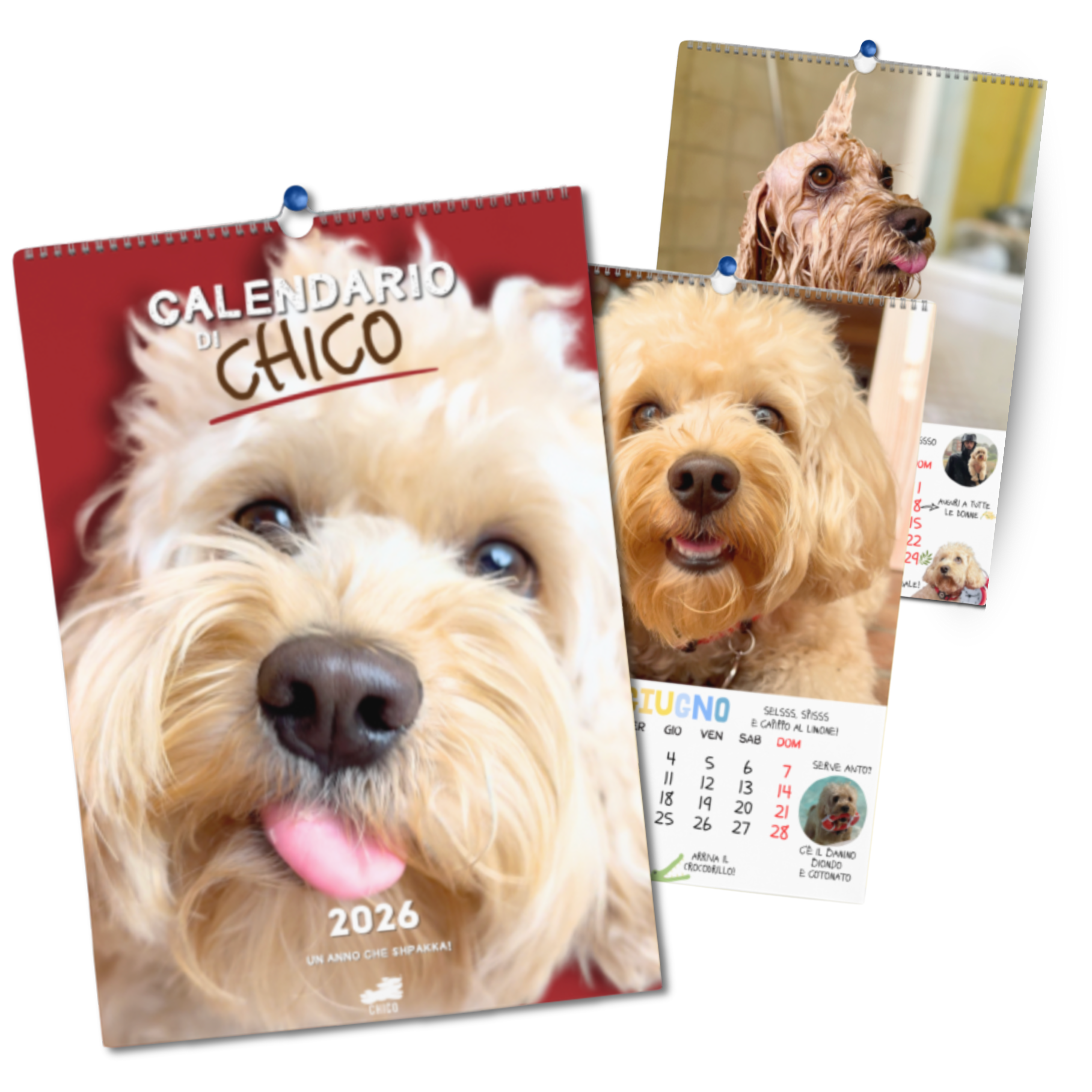 Calendario Chico 2026