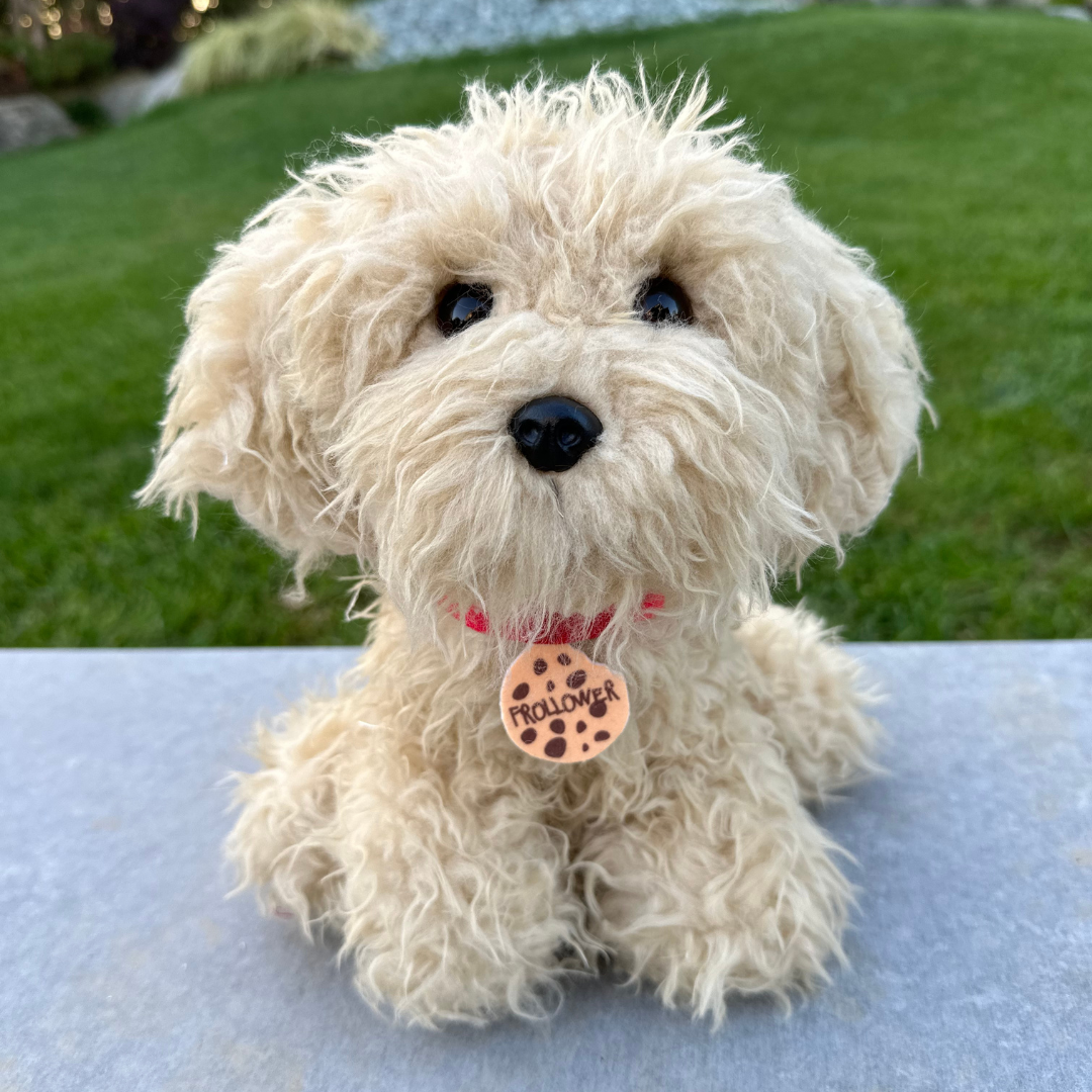 Peluche Chico