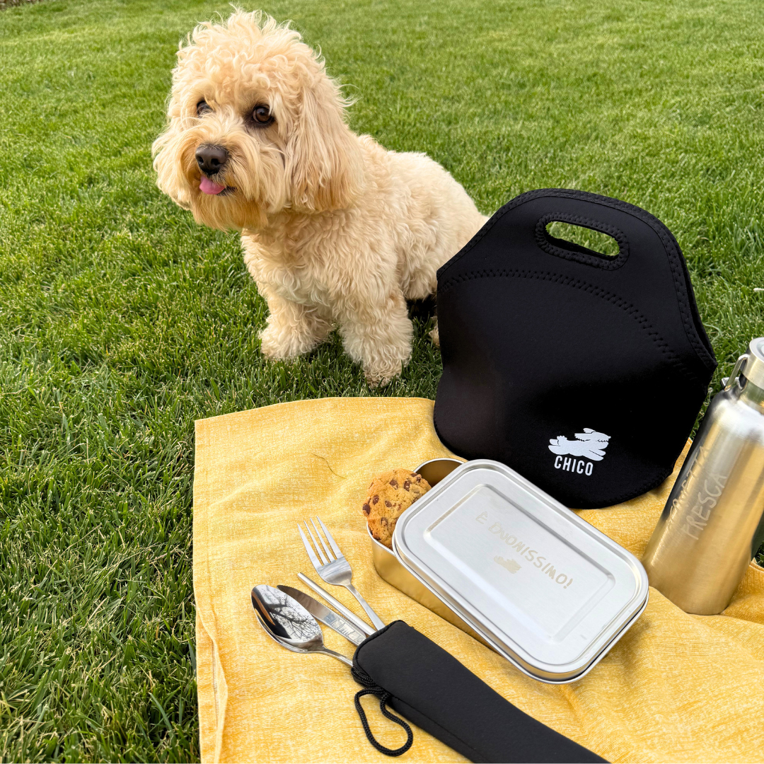 Kit Porta Pranzo Chico