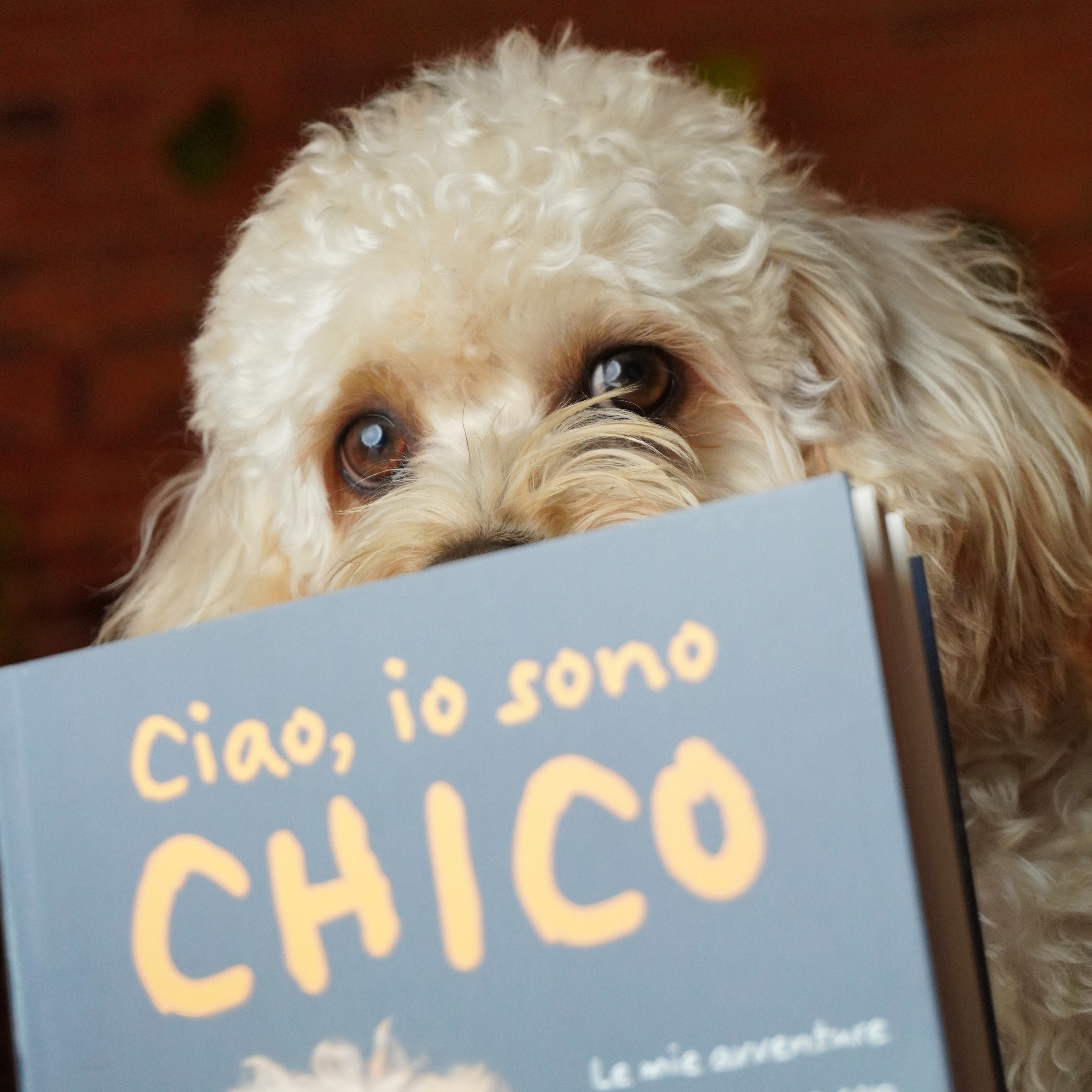 Libro Autografato - Ciao, io sono Chico