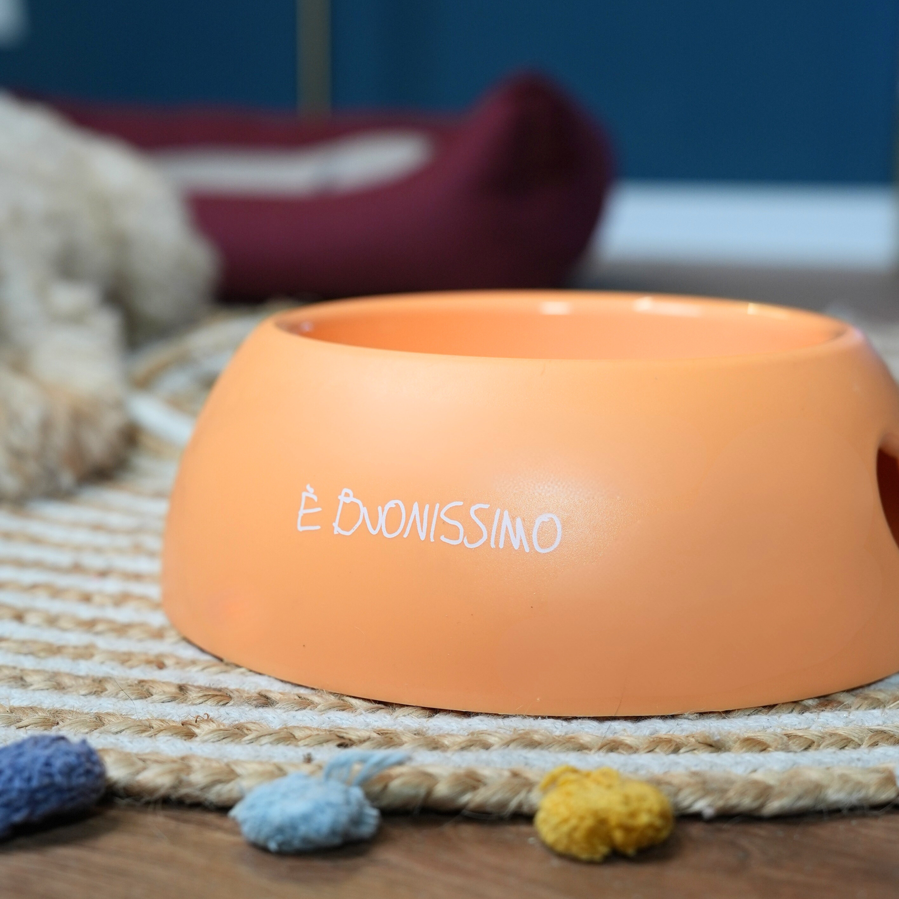 Ciotola Chico - È Buonissimo