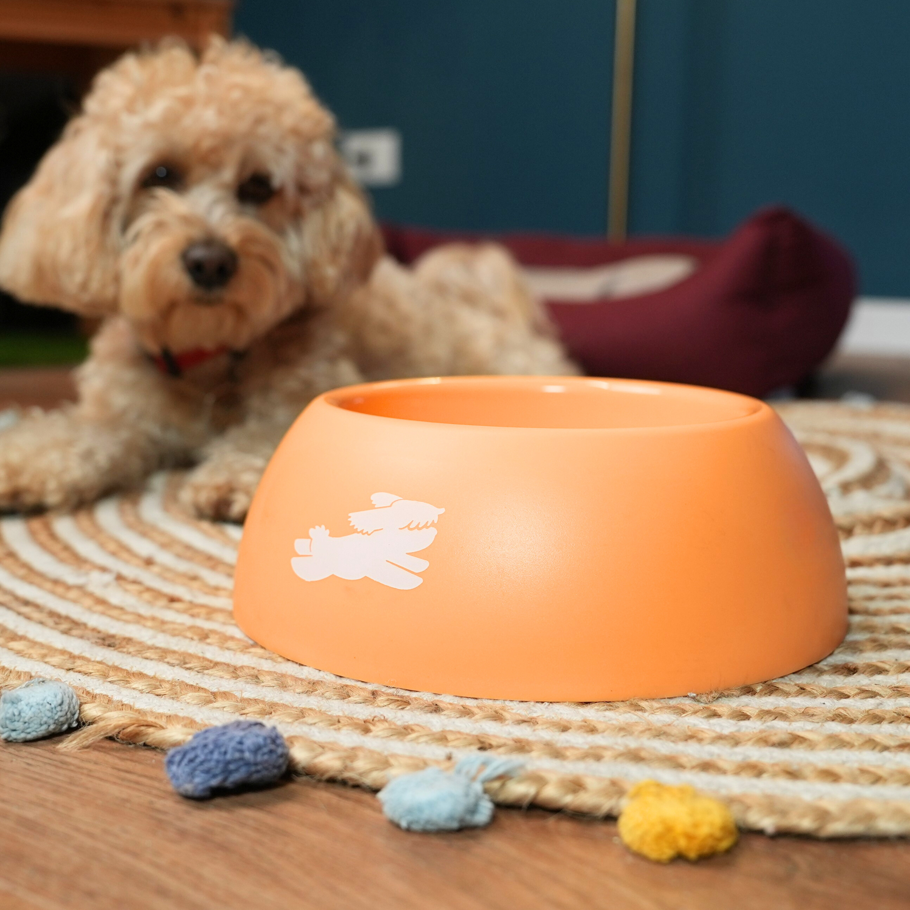 Ciotola Chico - È Buonissimo