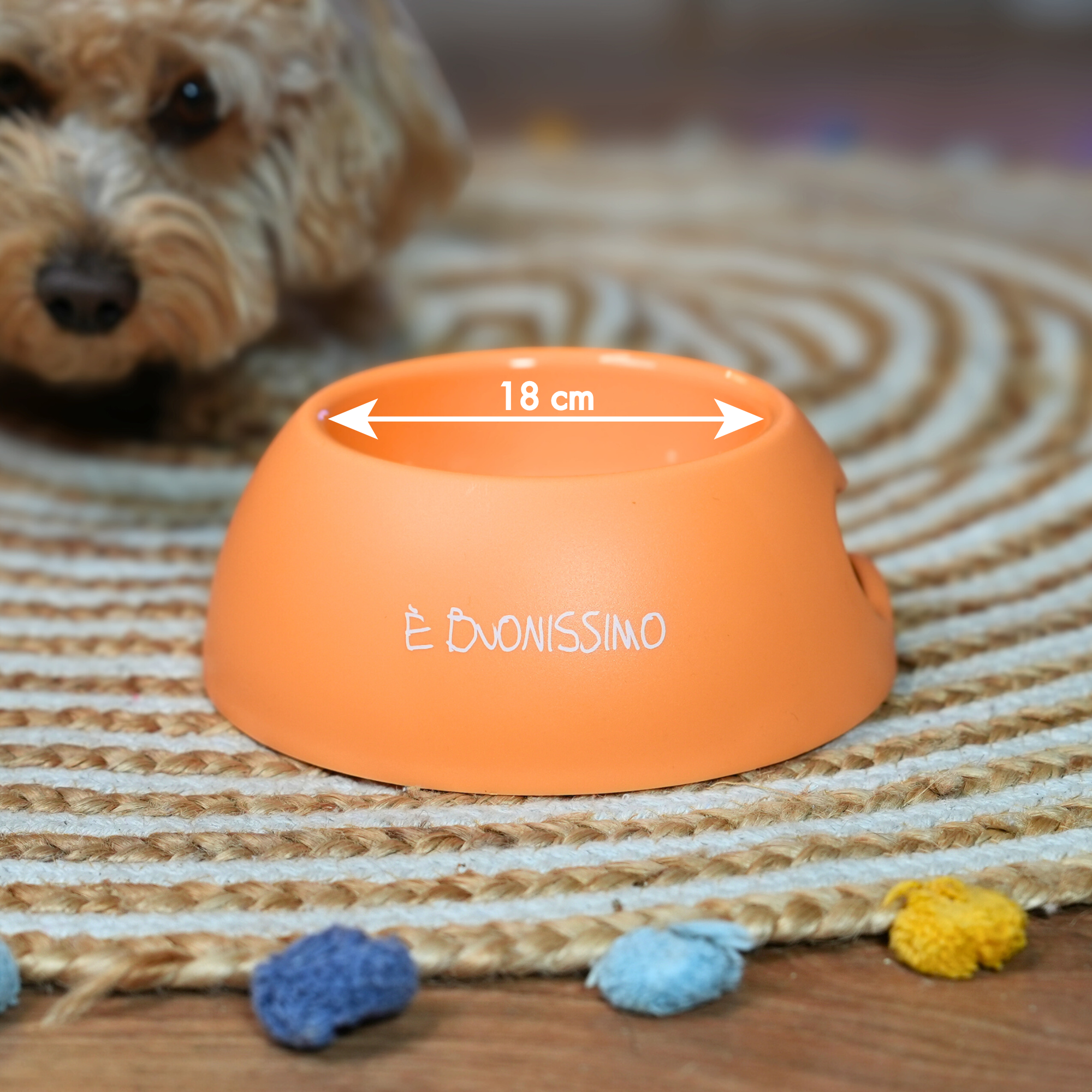 Ciotola Chico - È Buonissimo