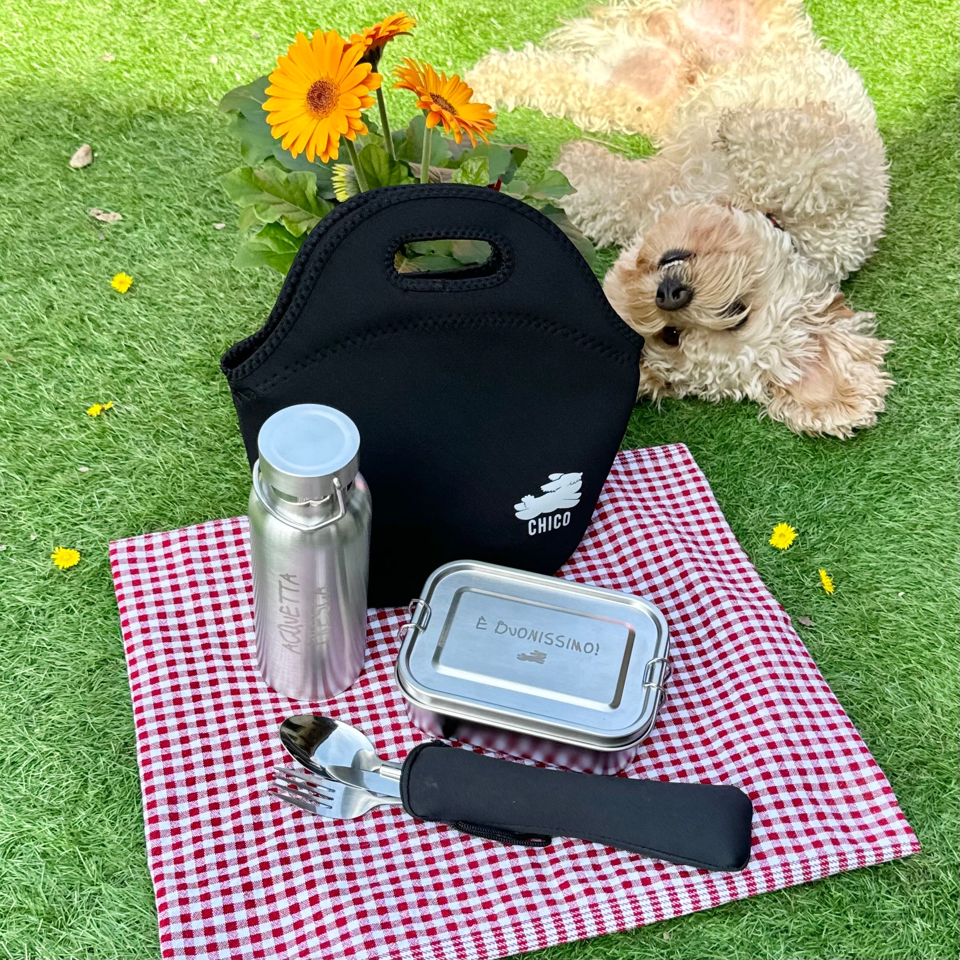 Kit Porta Pranzo Chico