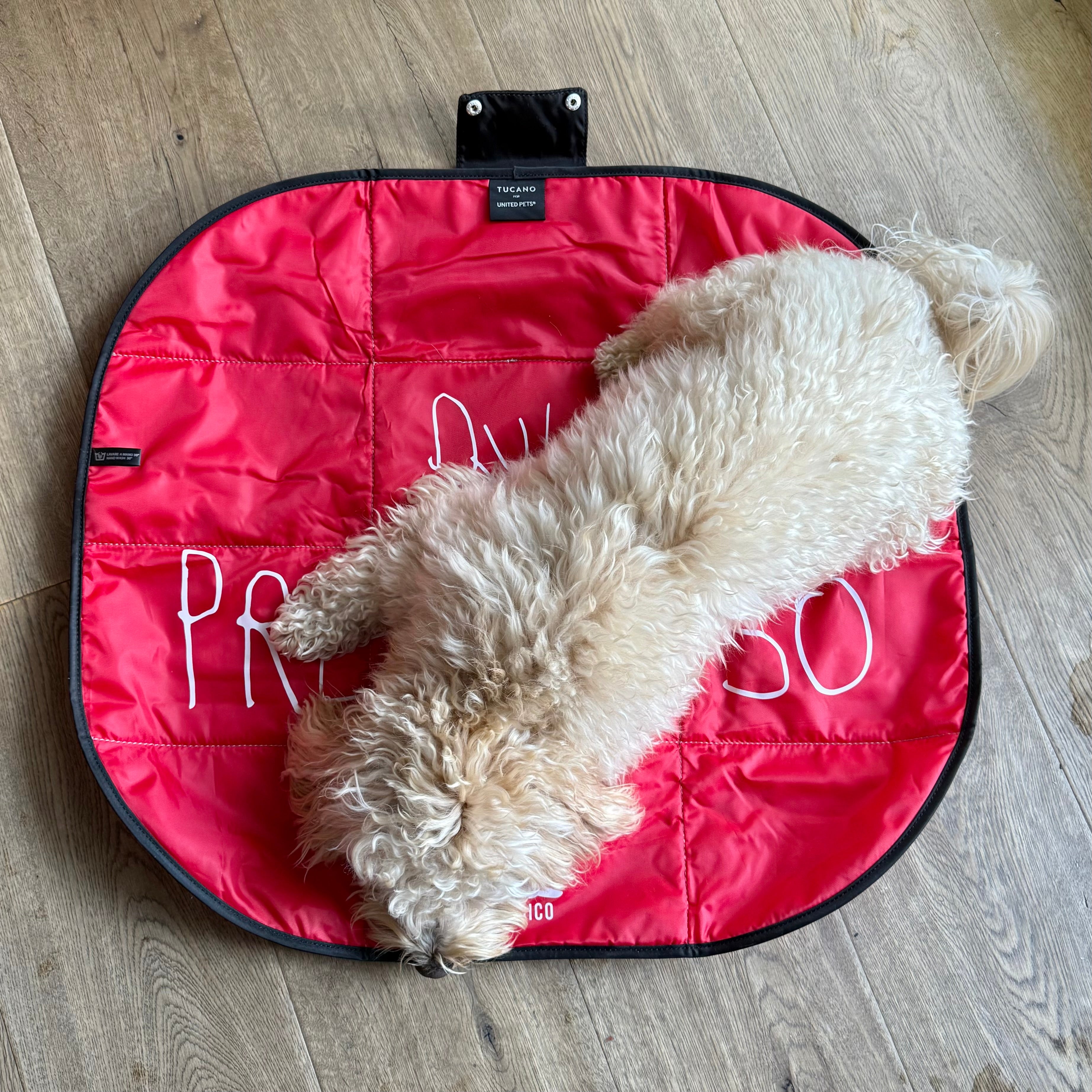 Lazy Dog Mat - Tappetino pieghevole