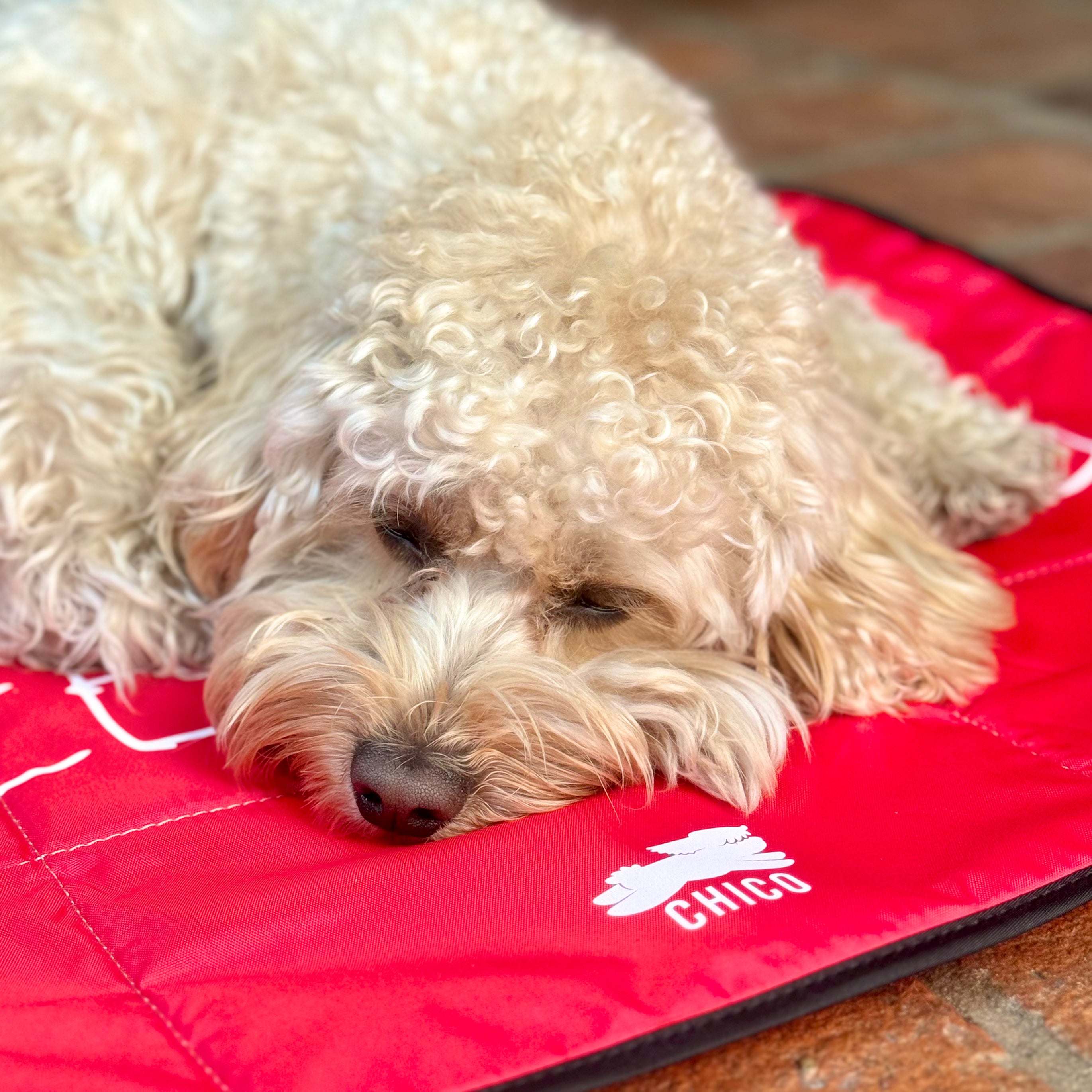 Lazy Dog Mat - Tappetino pieghevole