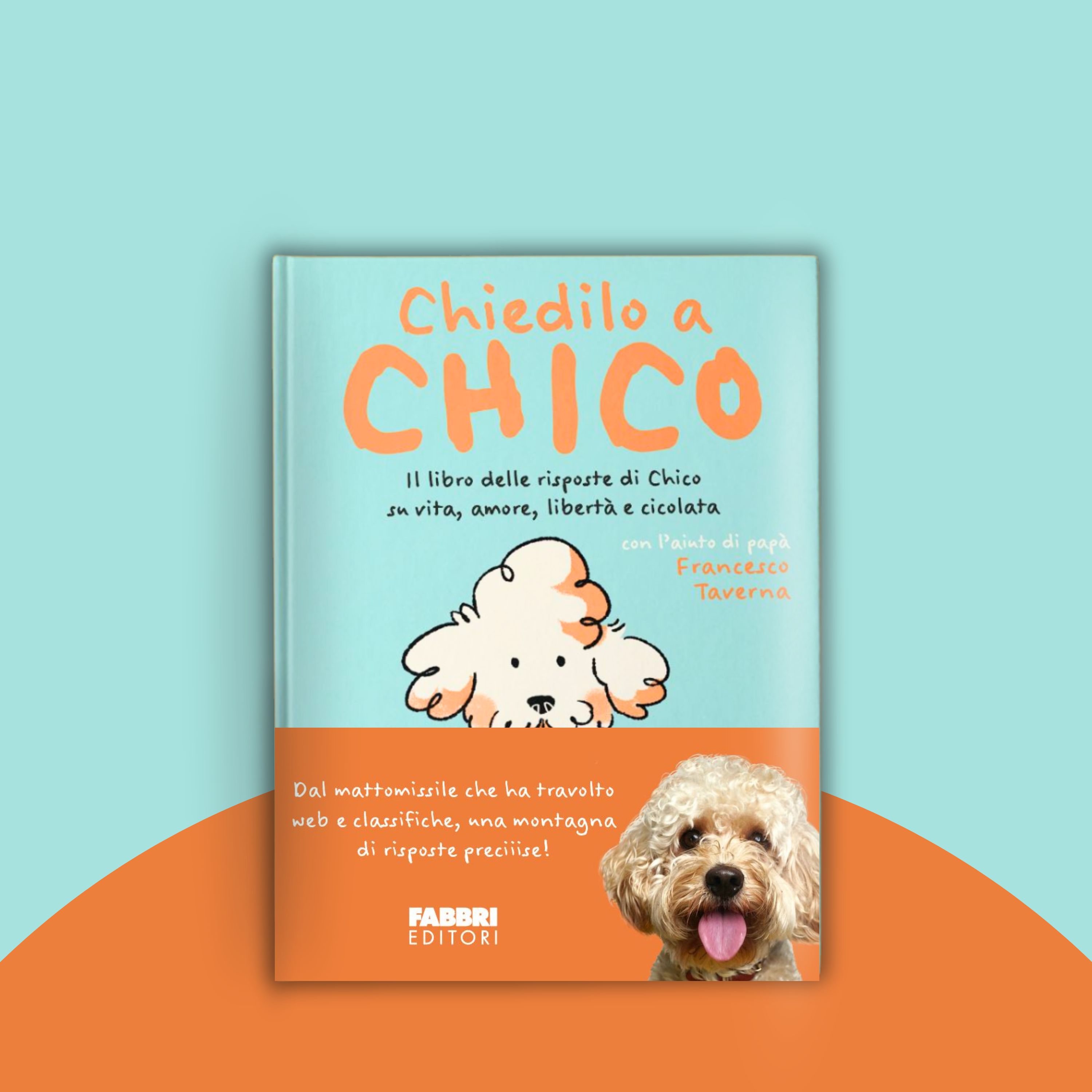 Libro - Chiedilo a Chico