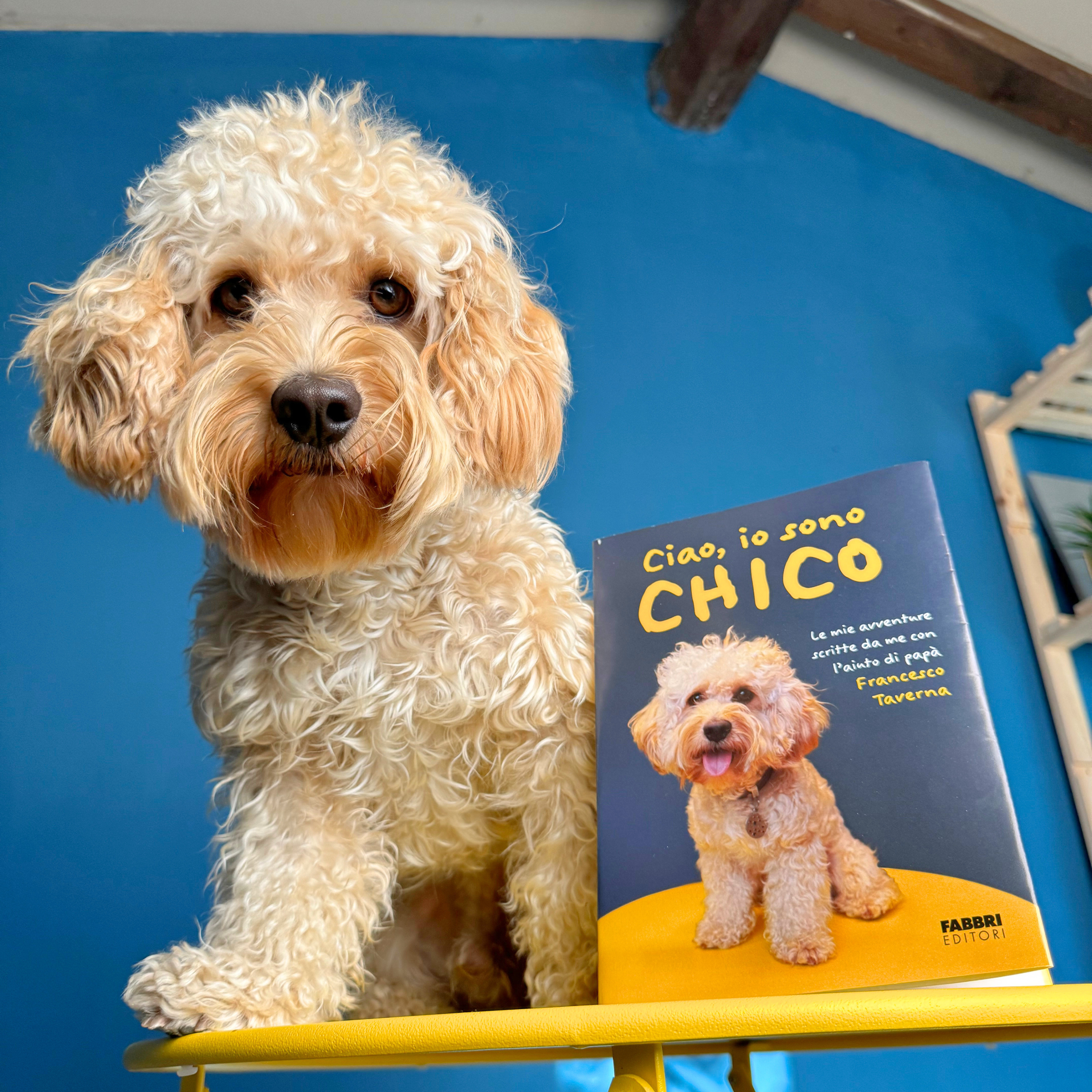 Libro Autografato - Ciao, io sono Chico