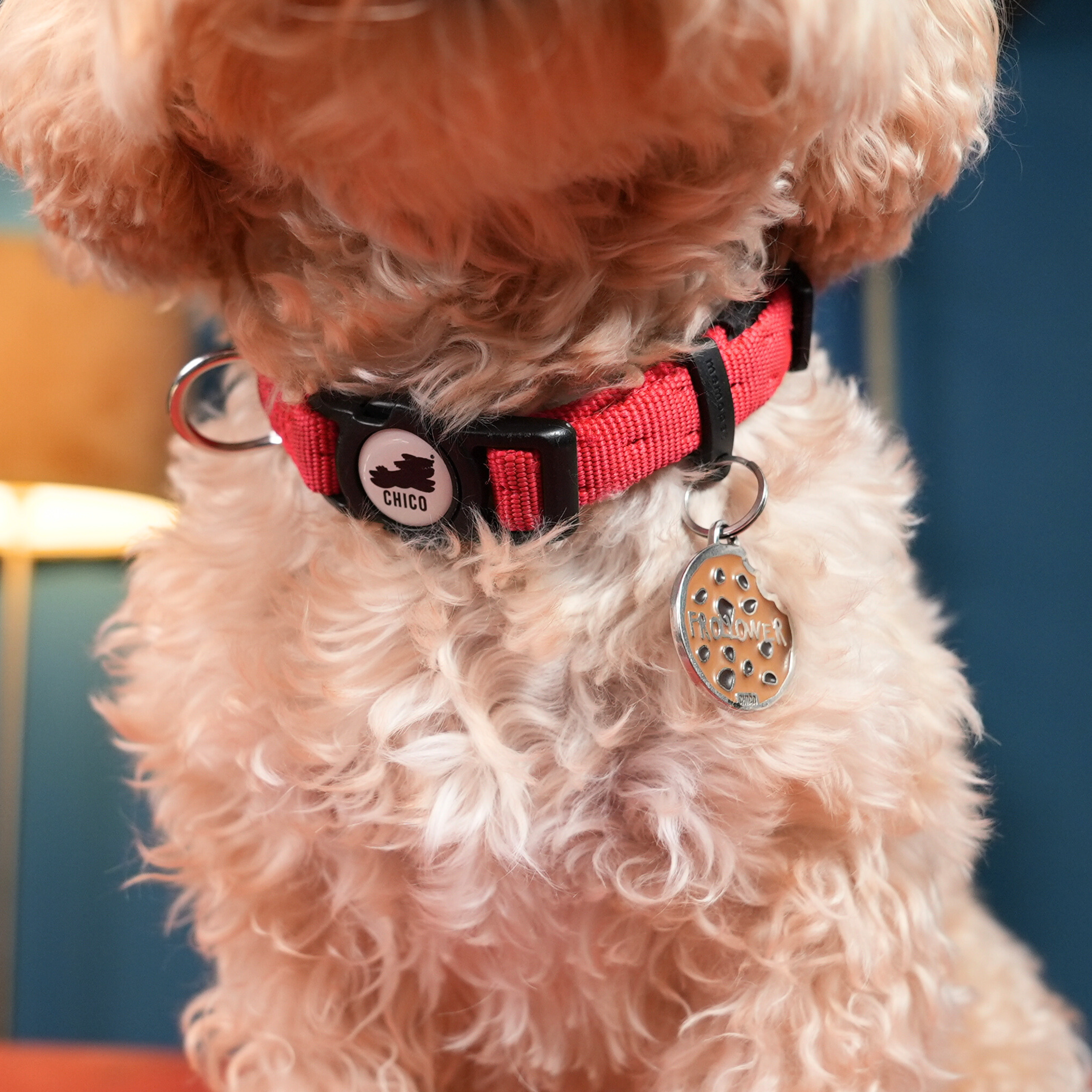 Medaglietta Chico con incisione personalizzata - Frollower