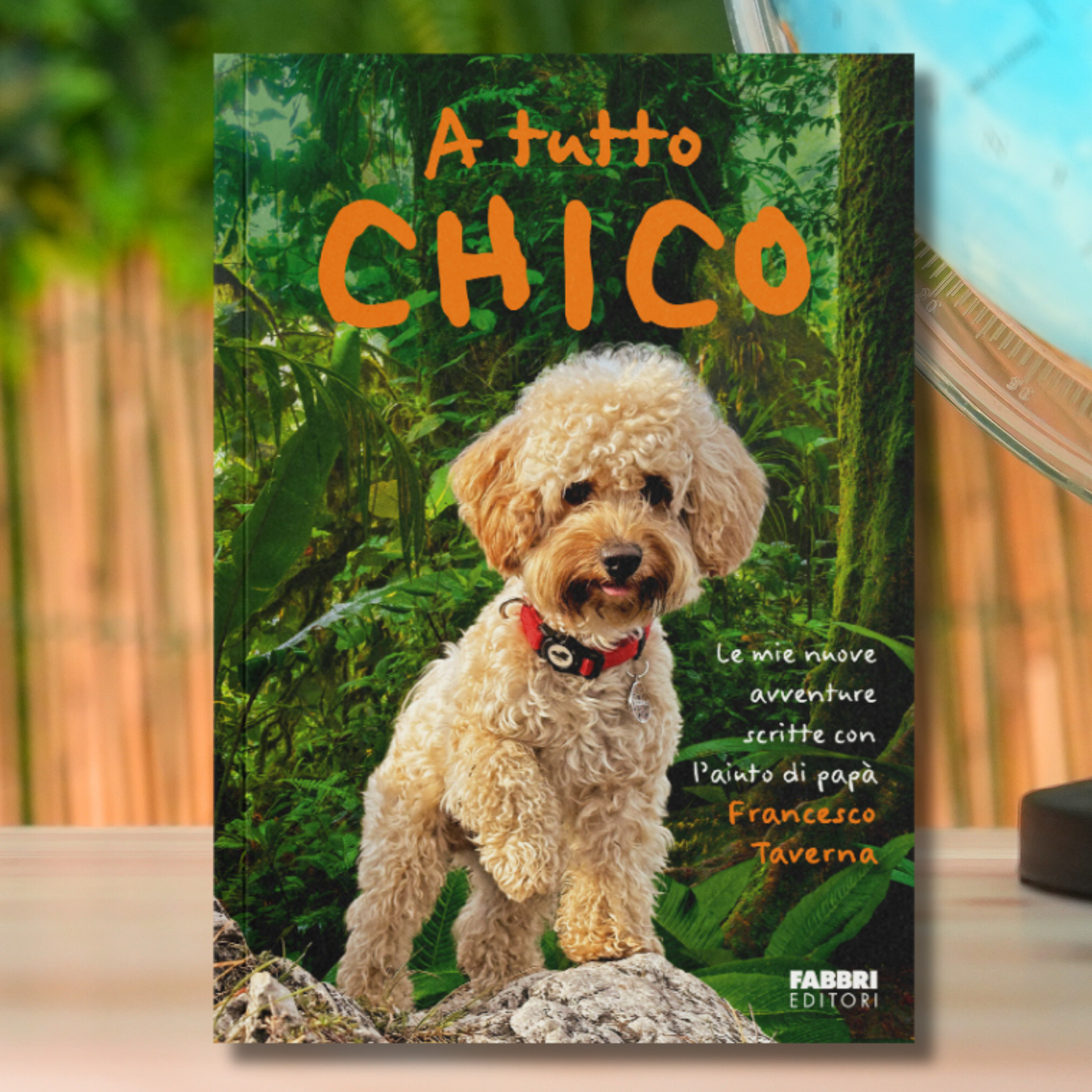 Libro - A tutto Chico
