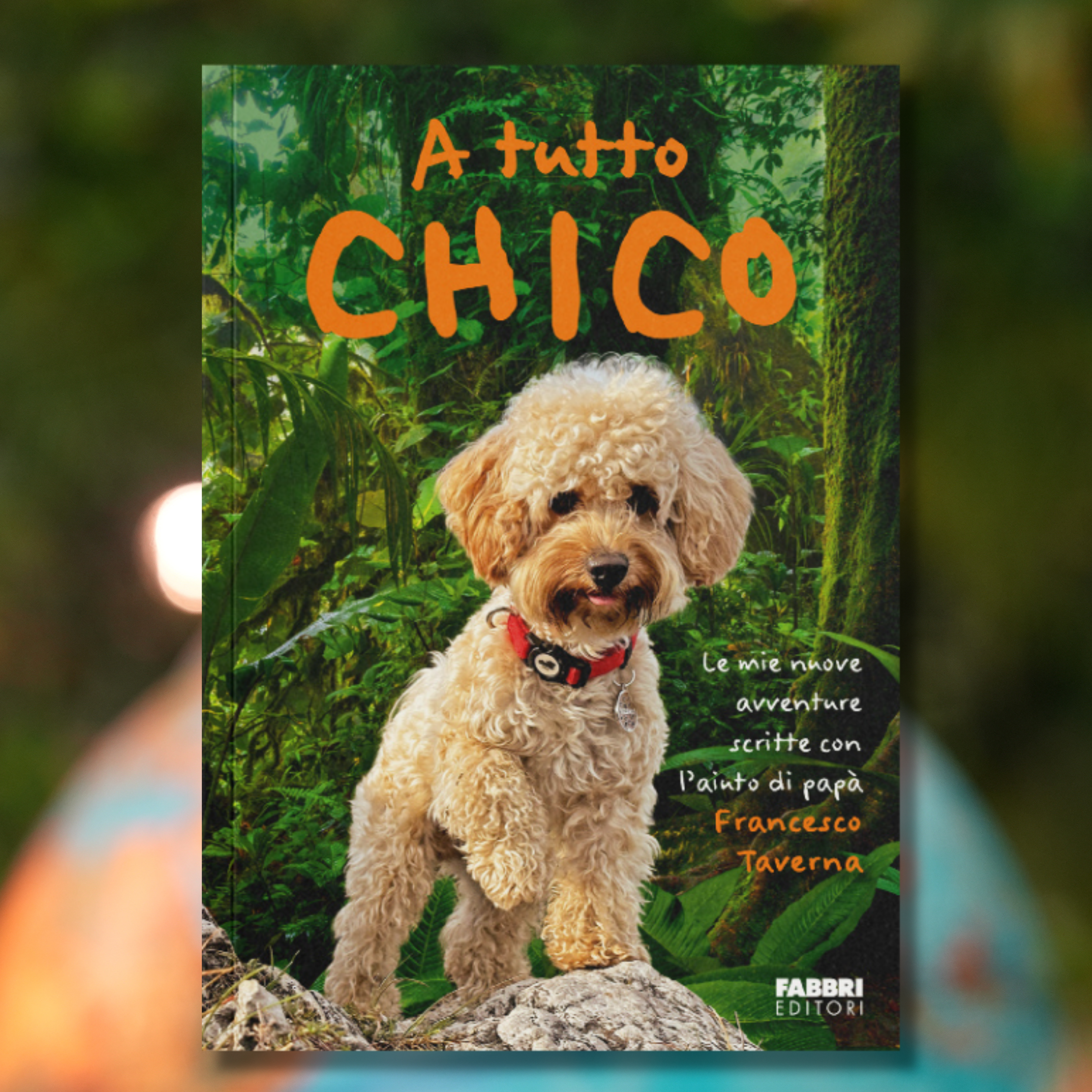 Set 3 Libri: Chico Missione Amore + Chiedilo a Chico + A tutto Chico + Block Notes Omaggio