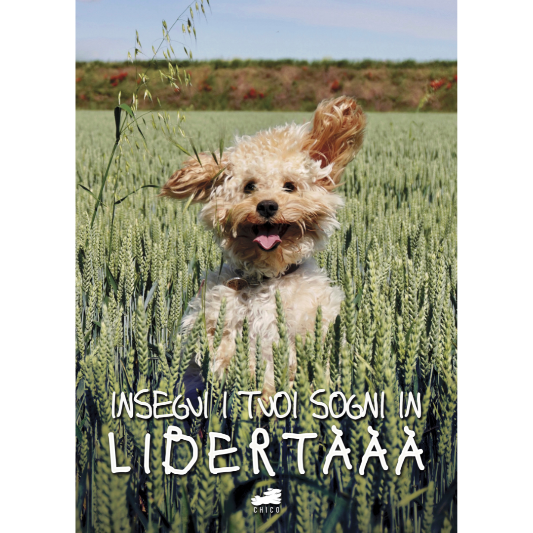 Poster grande - Insegui i tuoi sogni