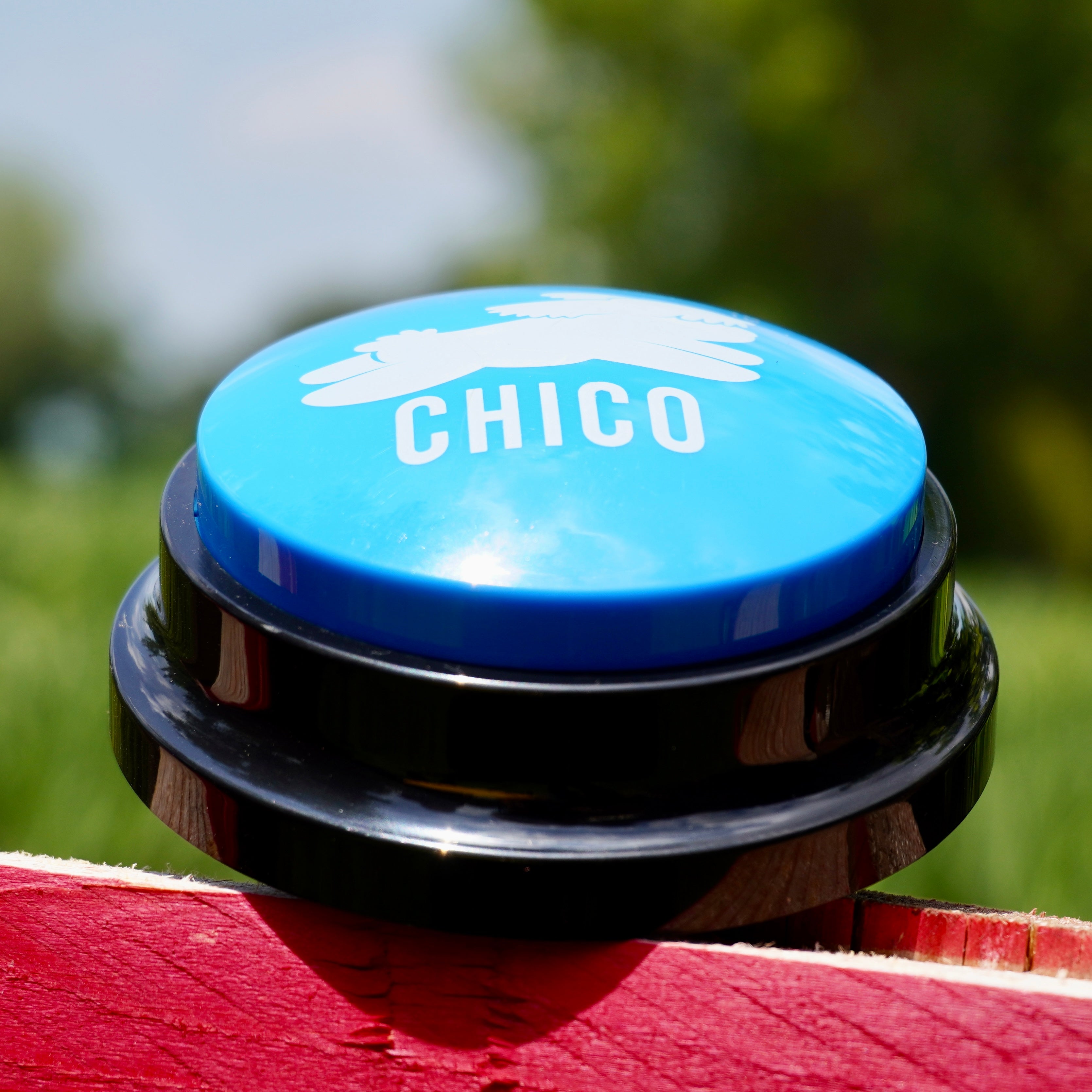 Pulsanti parlanti Chico