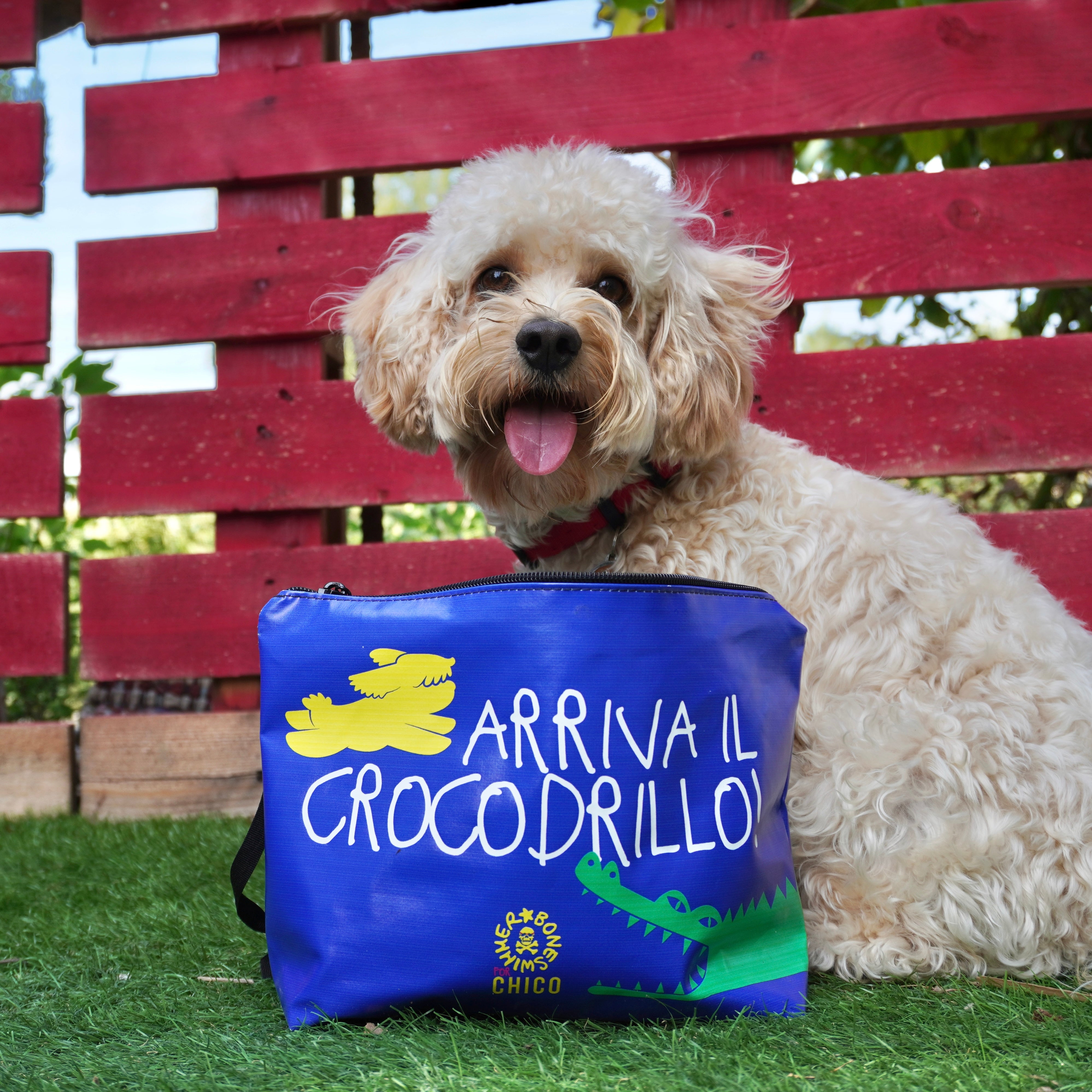 Astuccio Chico - Arriva il crocodrillo!