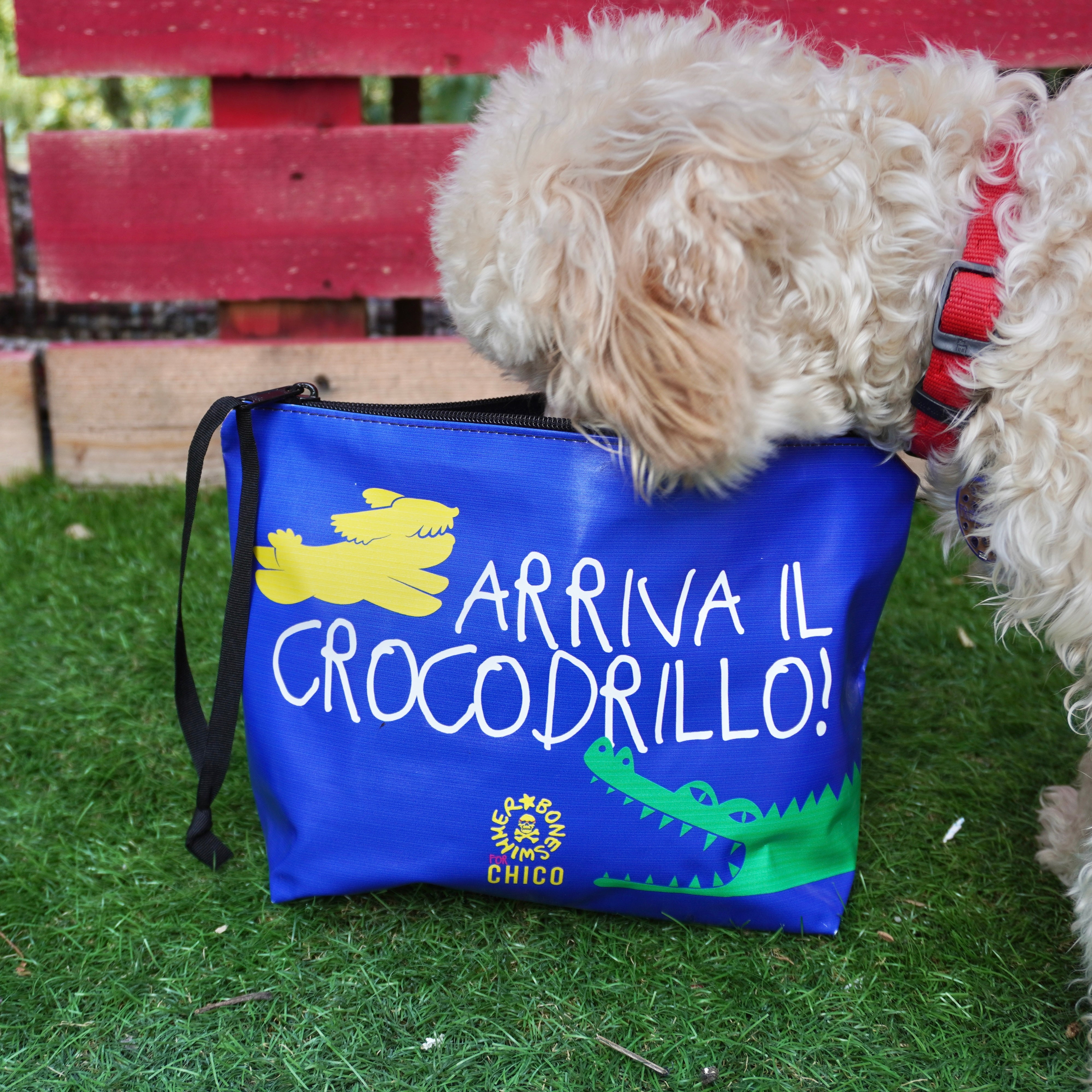 Astuccio Chico - Arriva il crocodrillo!