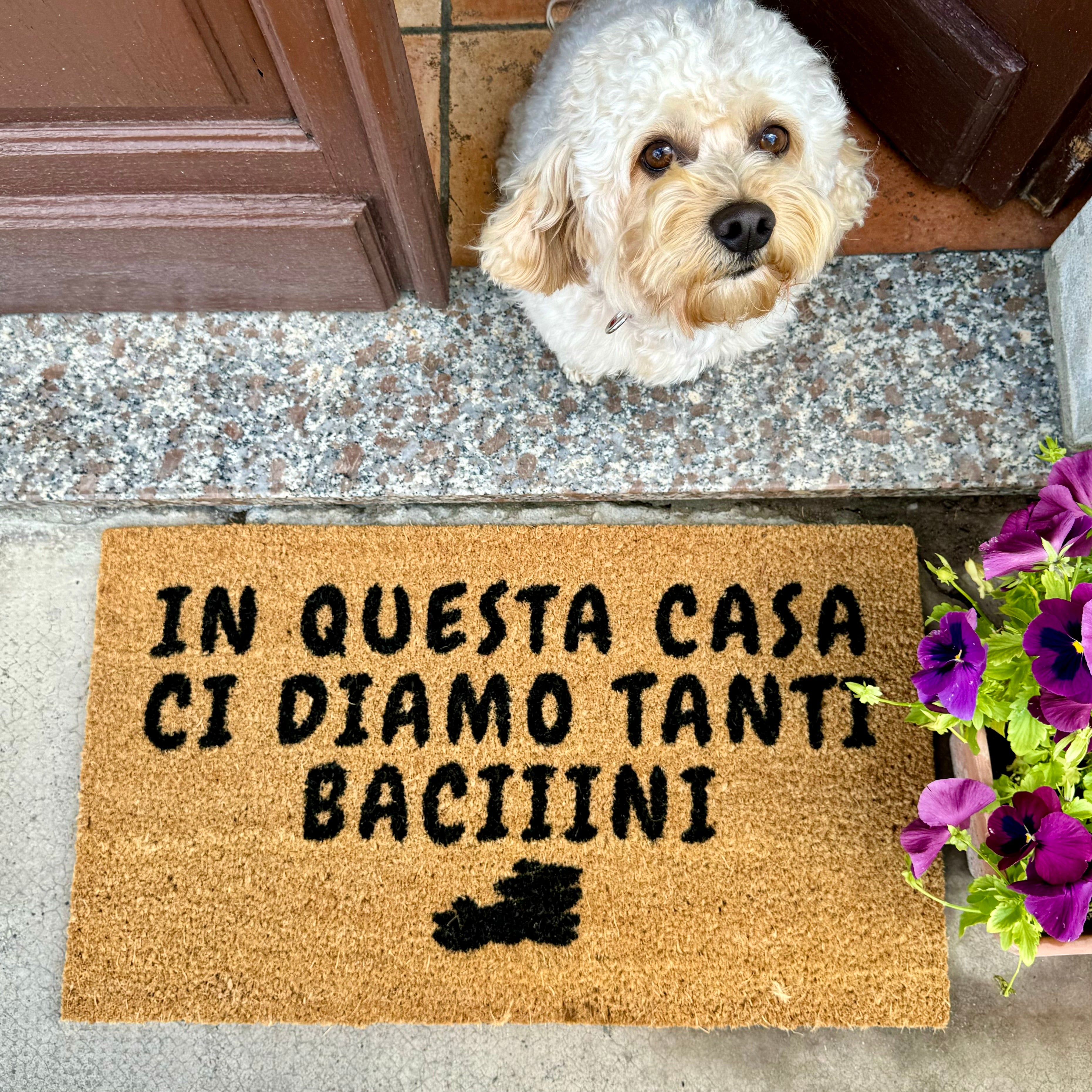 Zerbino - In questa casa ci diamo tanti baciiini