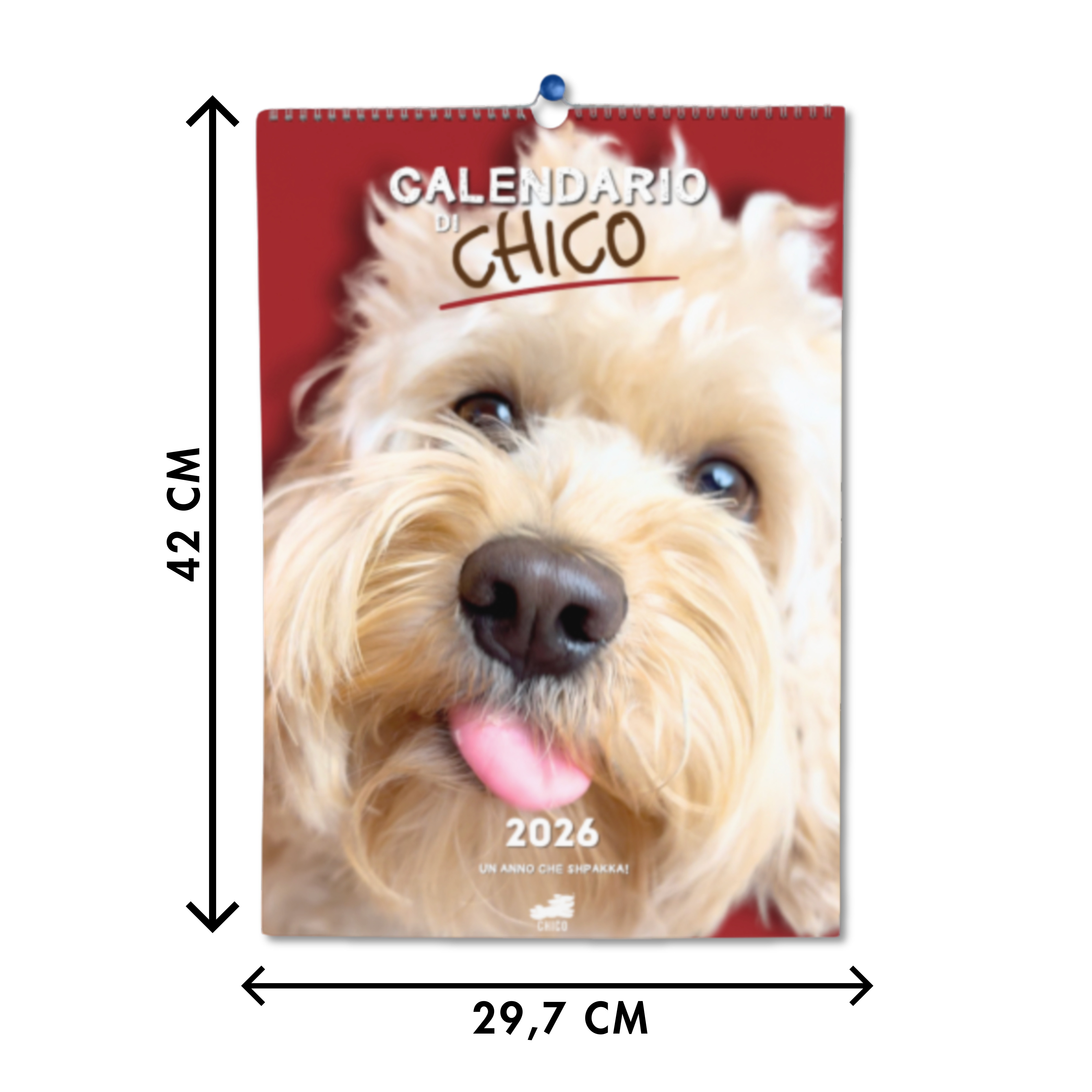 Calendario Chico 2026