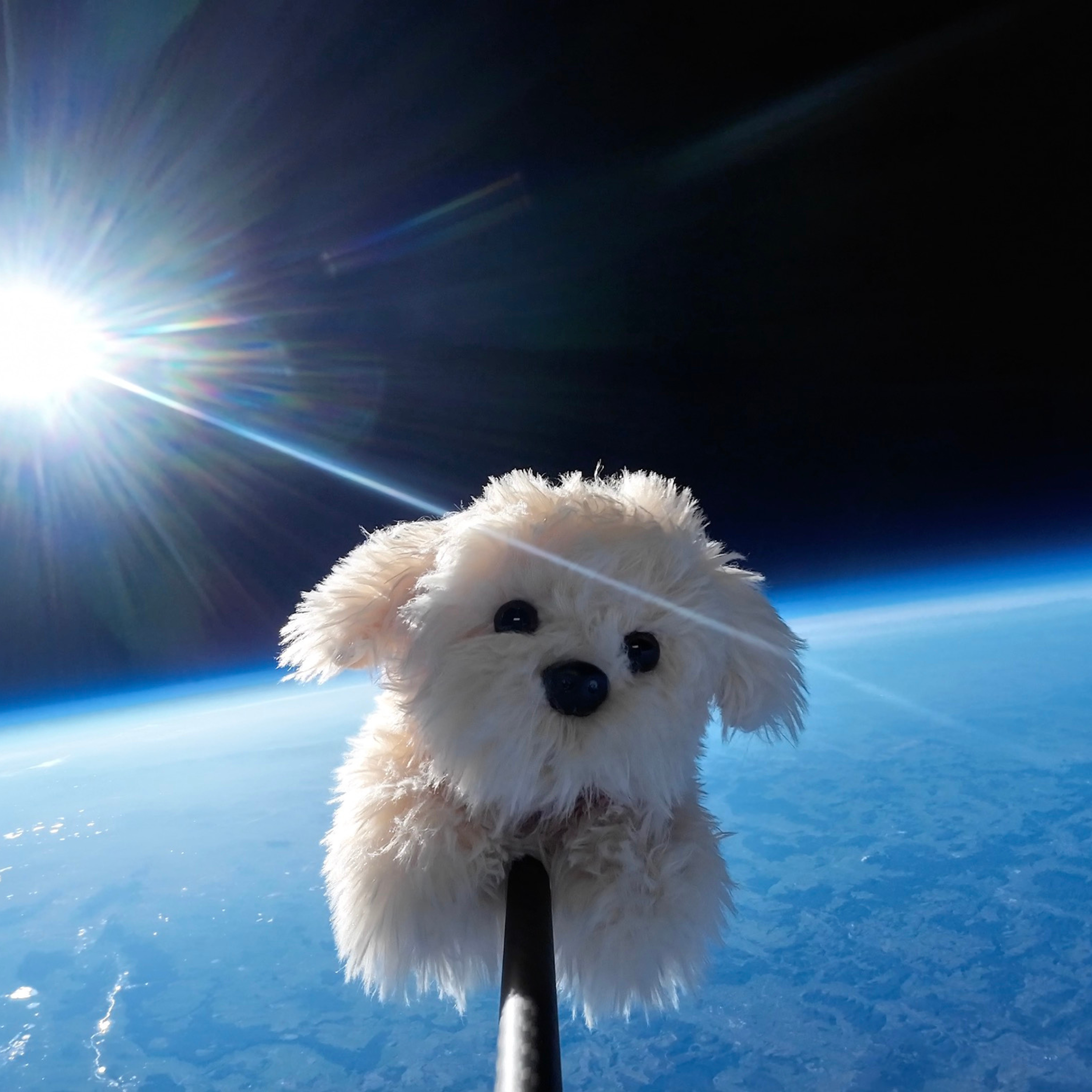 Peluche Chico
