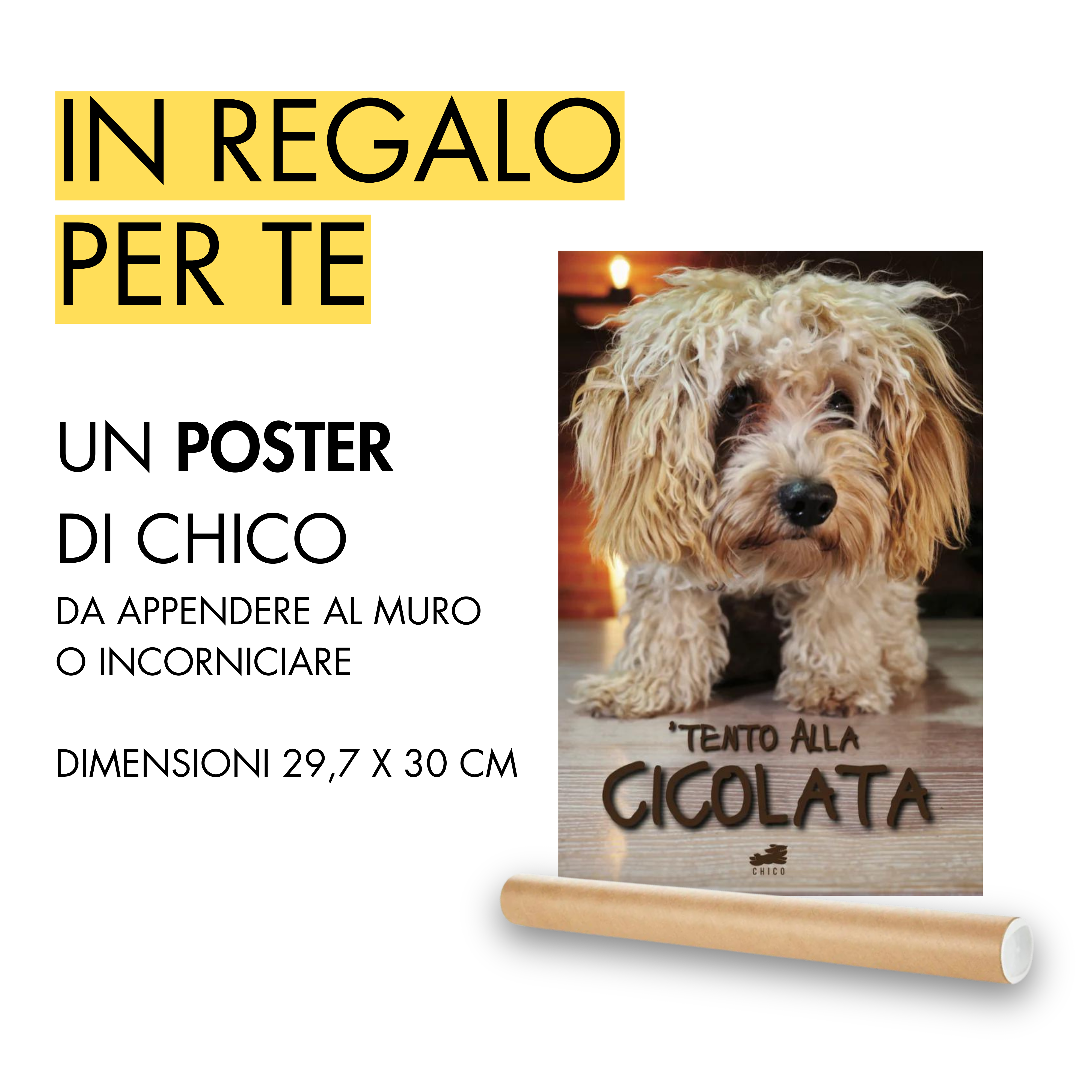 Zerbino - In questa casa ci diamo tanti baciiini