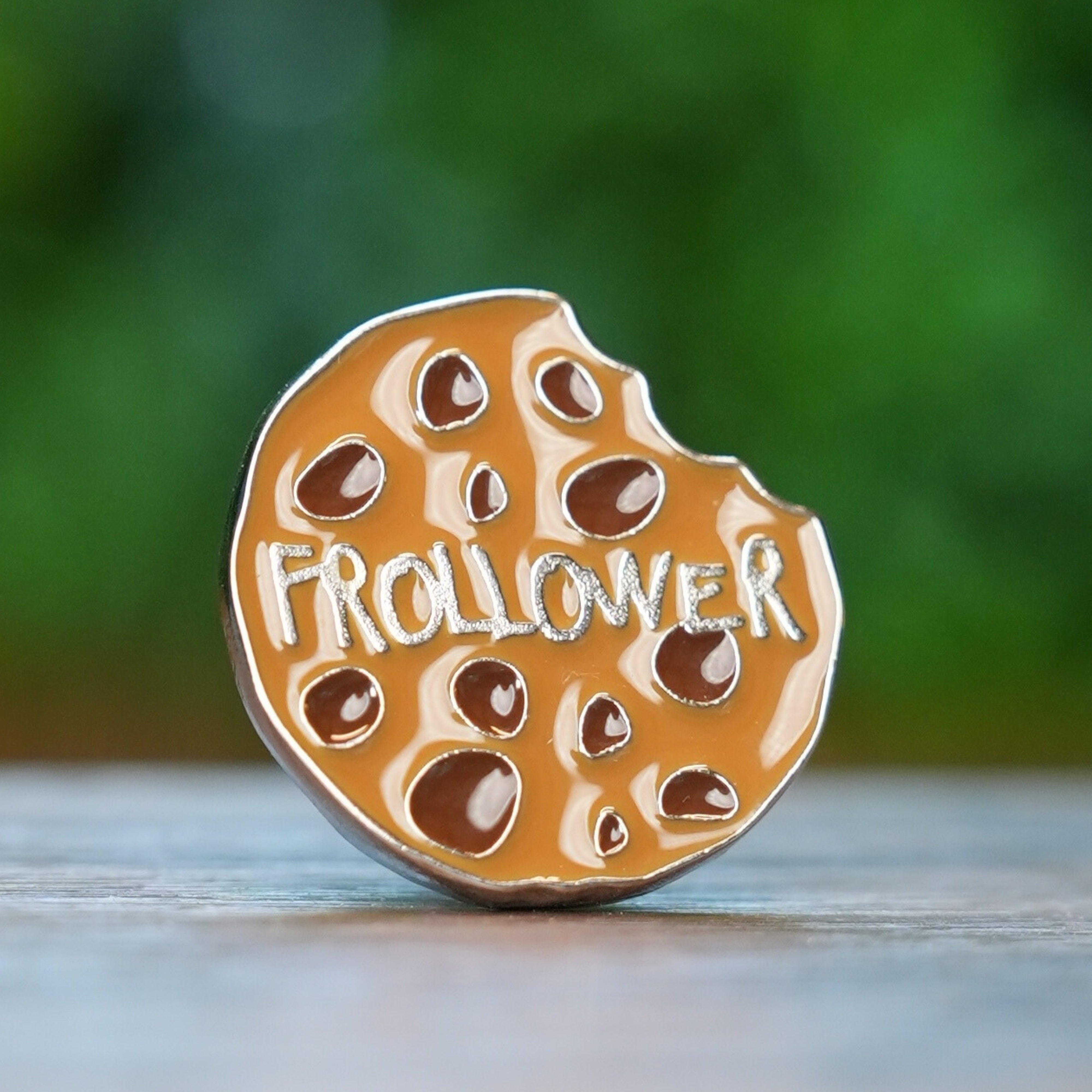Magnete Frollower