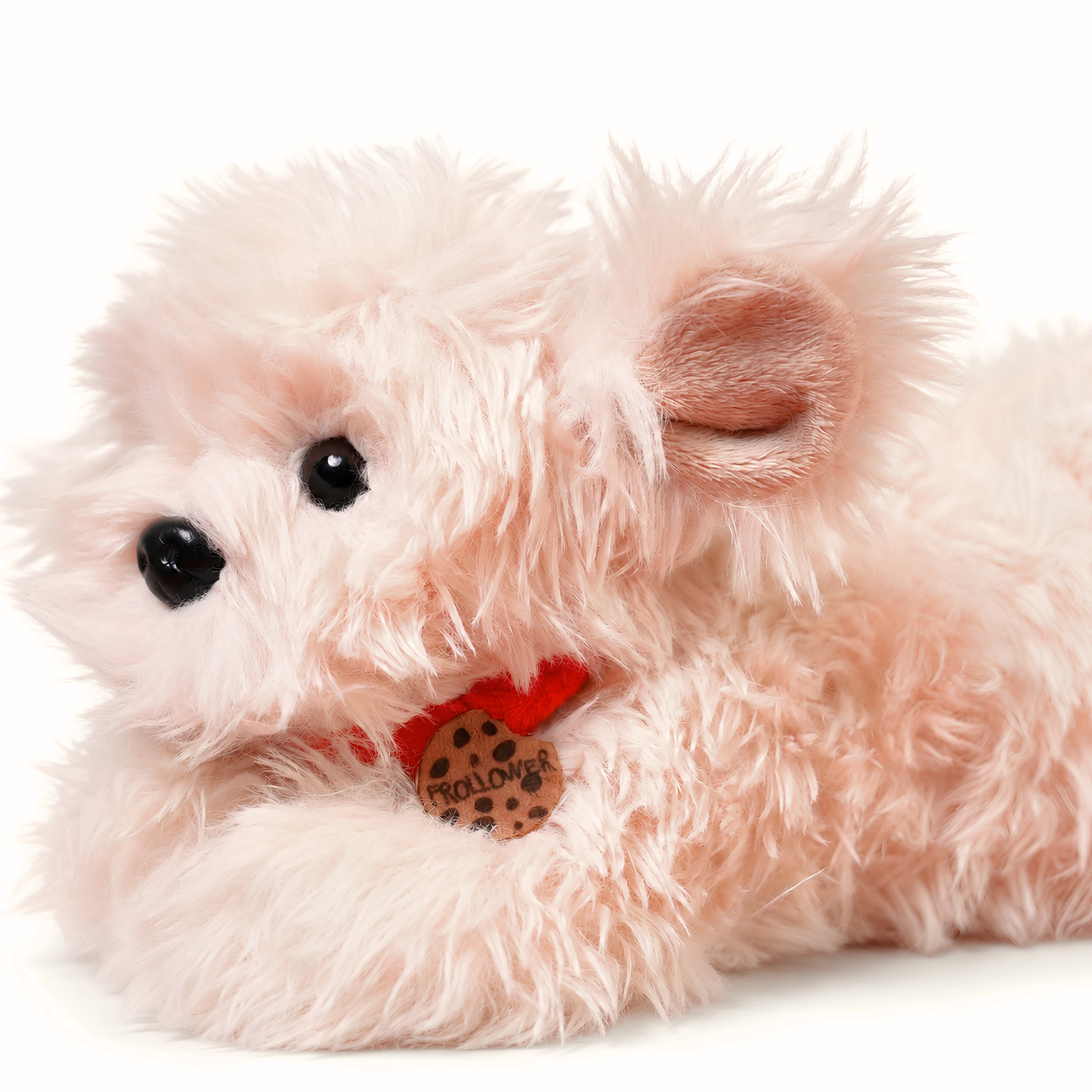 Peluche Chico
