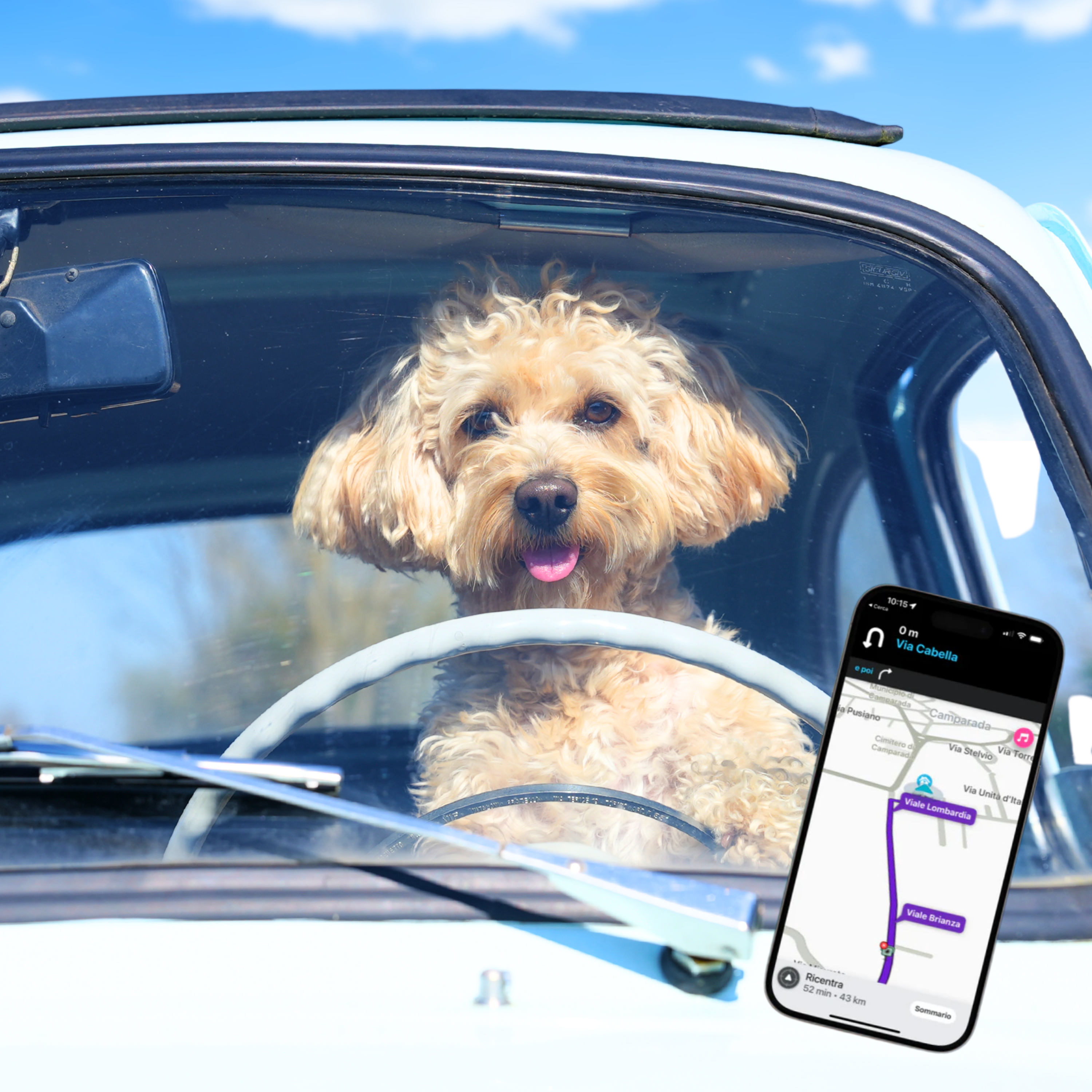 Chico Navigatore Professionista - Con Waze, indicazioni stradali e traffico in tempo reale