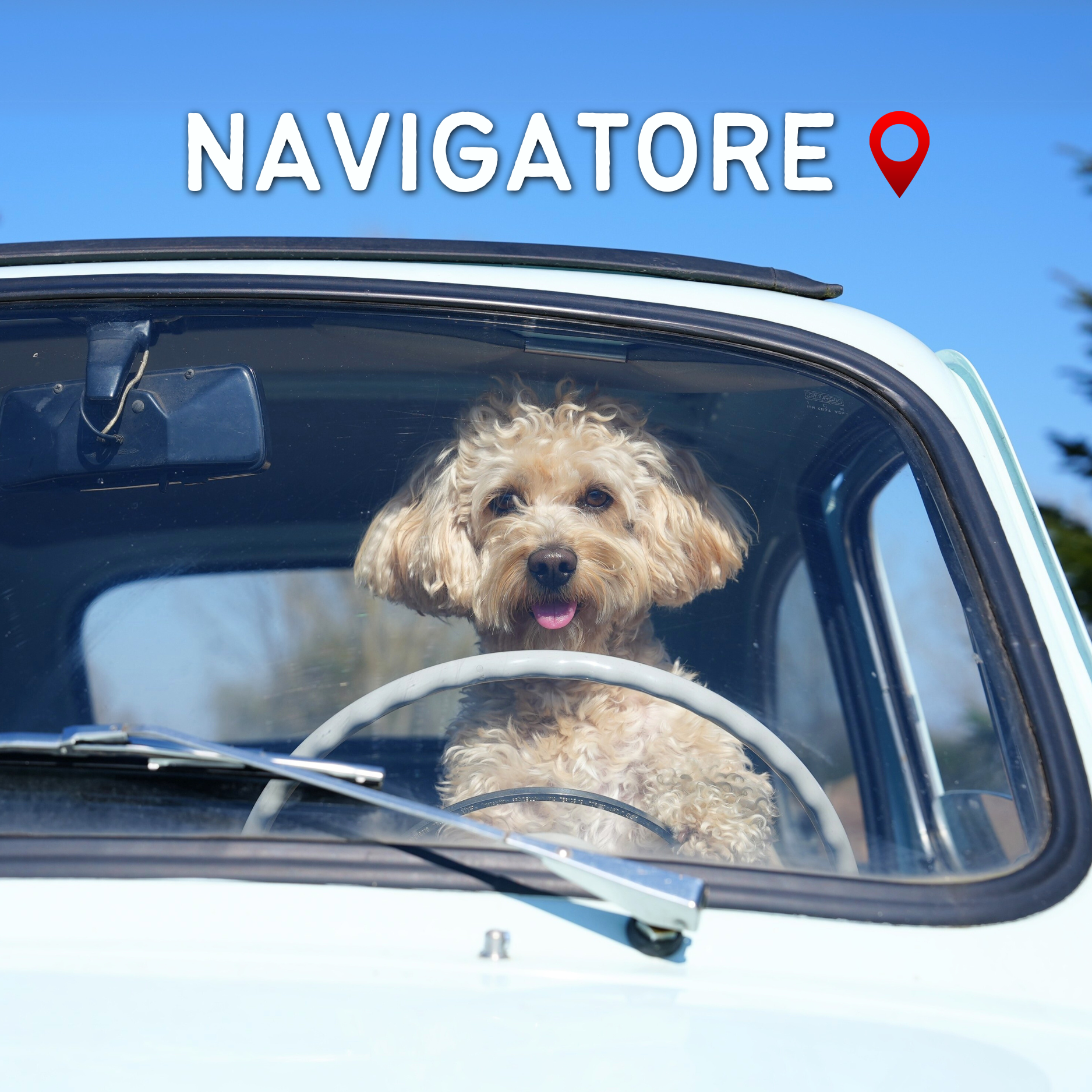 Chico Navigatore Professionista - Con Waze, indicazioni stradali e traffico in tempo reale