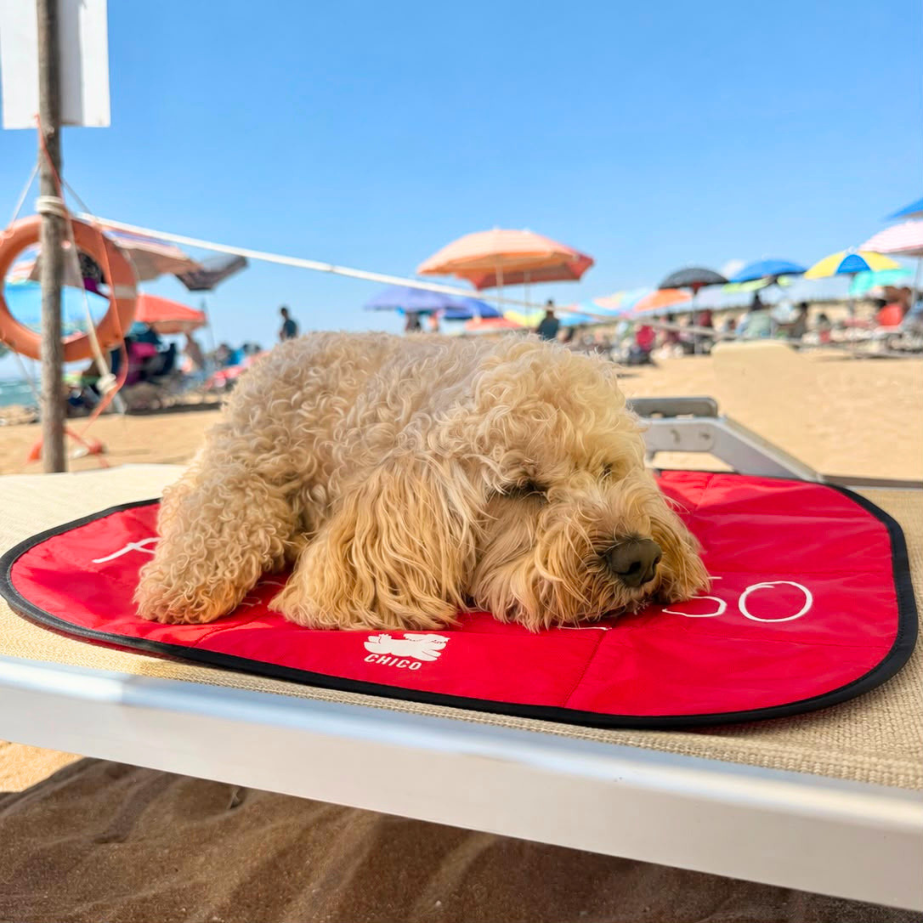 Lazy Dog Mat - Tappetino pieghevole