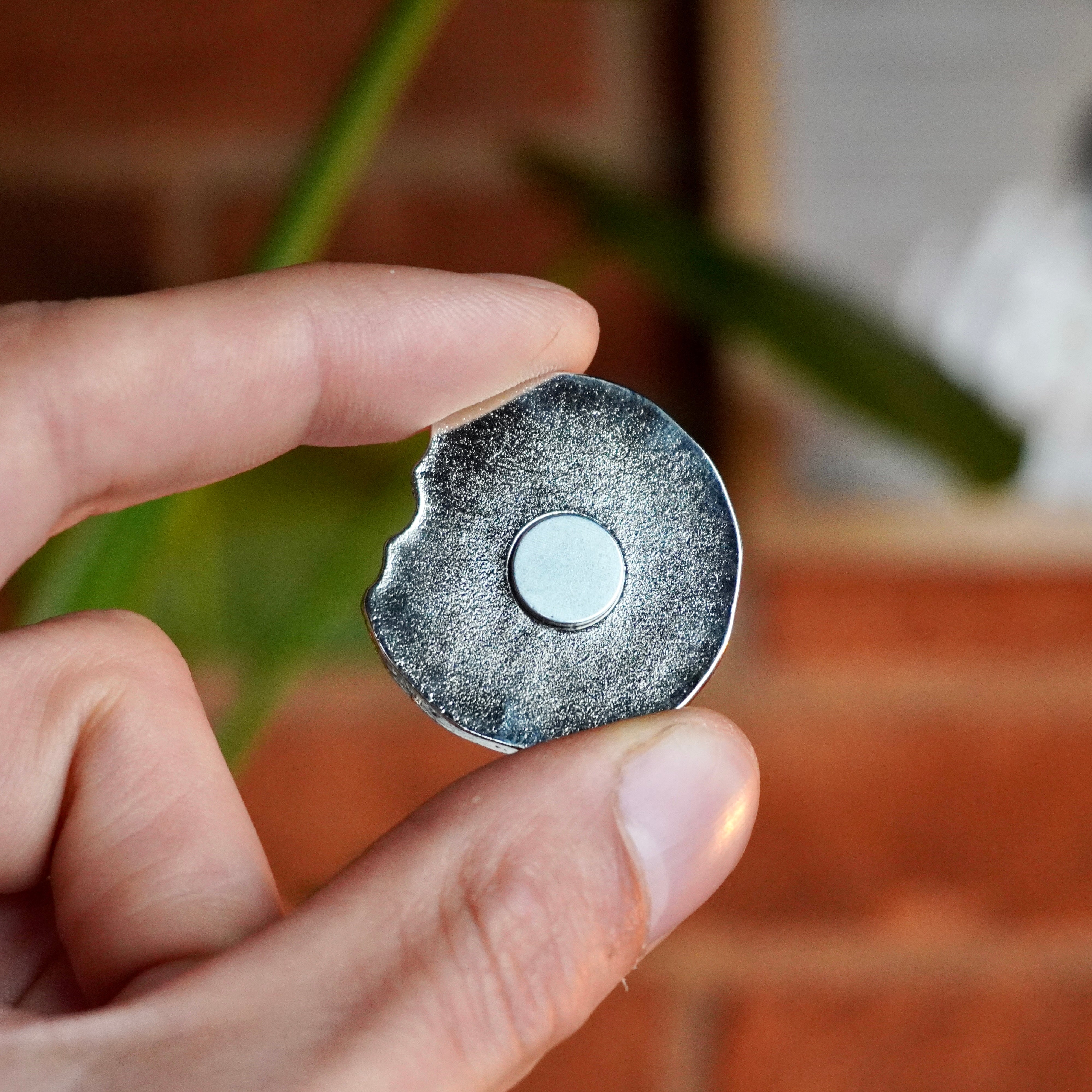 Magnete Frollower